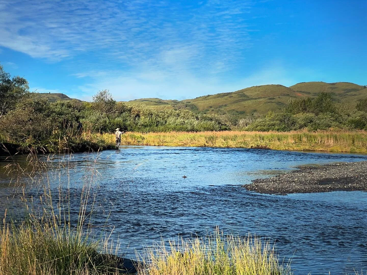 The perfect escape: a man, a river, and the unmatched beauty of Alaska. 🎣 Nature has a way of refreshing the soul out here at Kodiak Wilderness Lodge. 

#FishingLife #KodiakAdventure #AlaskaDreaming