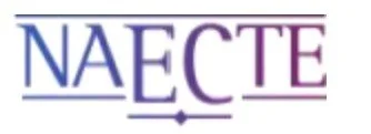 Finding joy and defending DEIB in early childhood teacher education