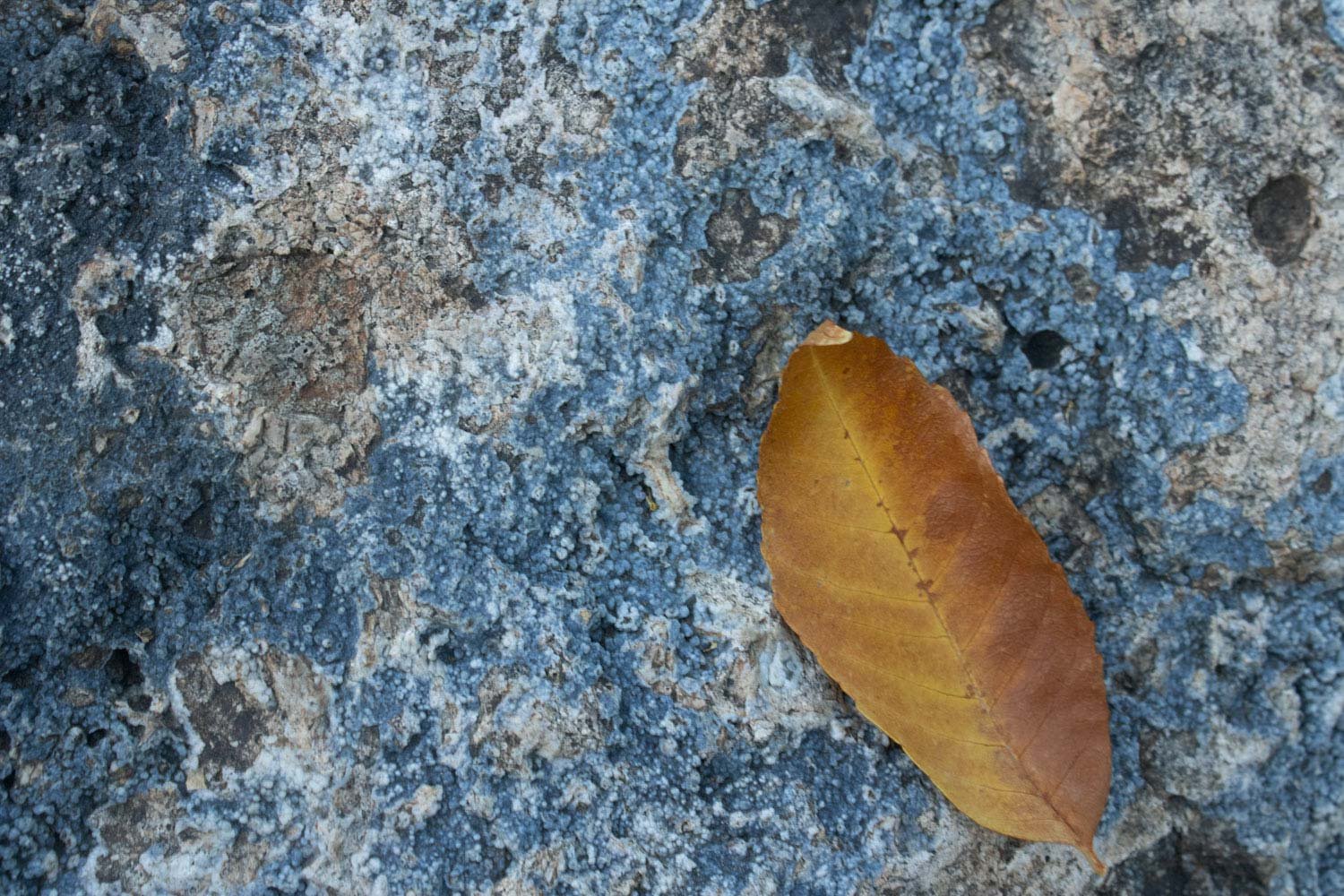 Beginning Photography Course 10/15/22