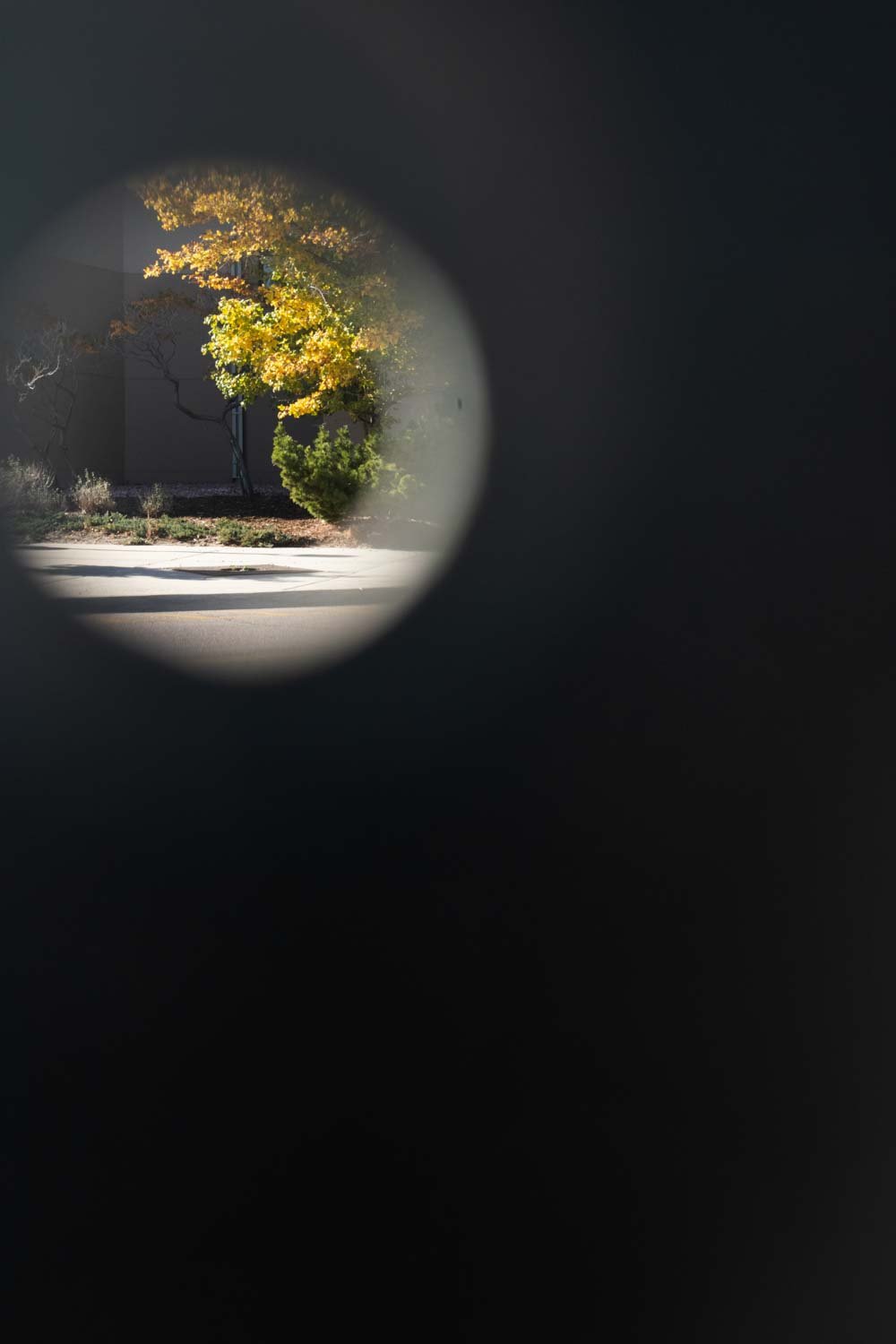 Beginning Photography Course 10/12/22