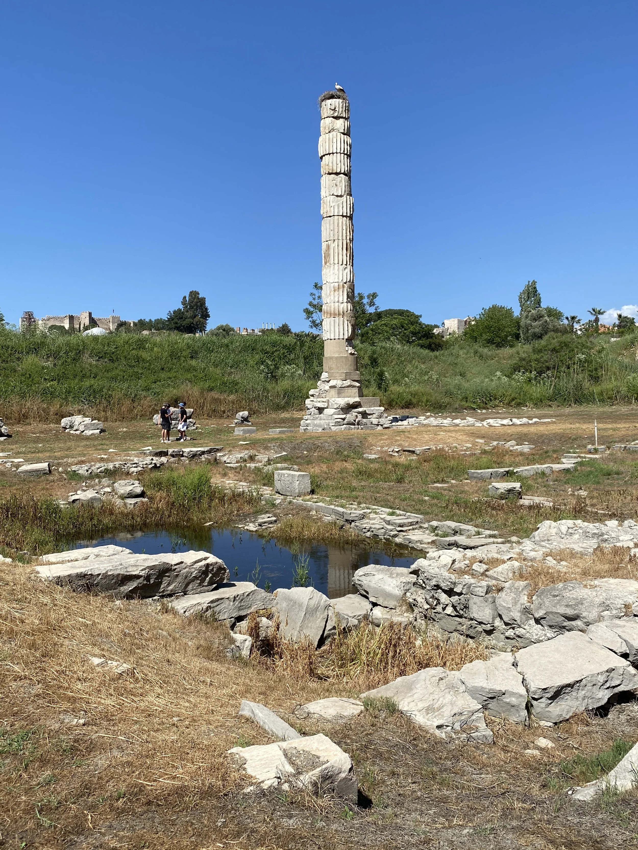 Ruins of the Temple of Artemis