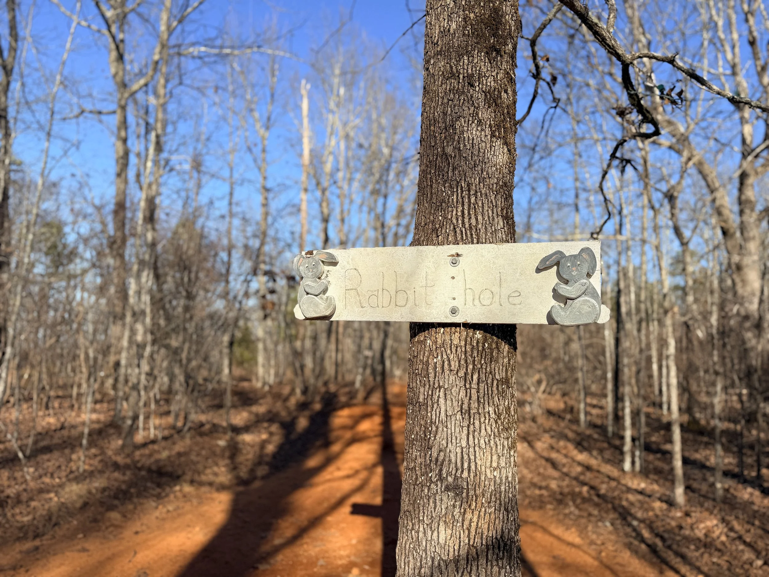 Wooden Rabbit Hole trail sign mounted on a tree along a red clay mountain bike trail at Coldwater Mountain in Alabama.