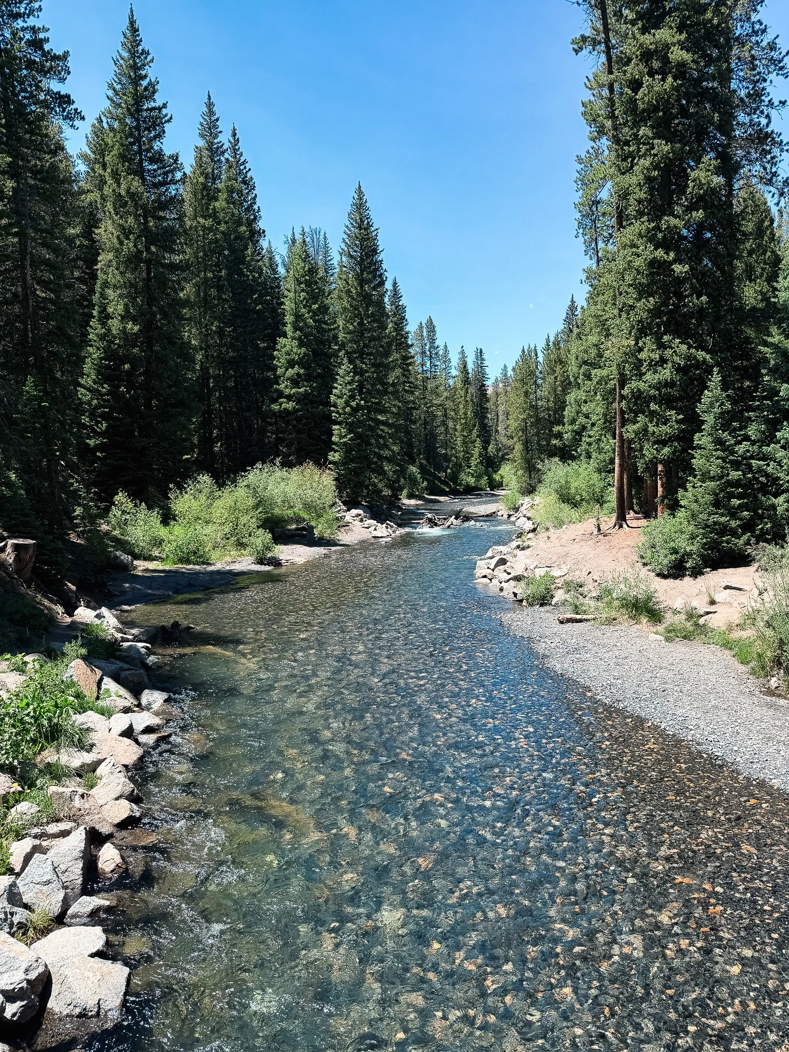 Clear water flowing through the Slate River near Oh Be Joyful Campground in Crested Butte, Colorado.