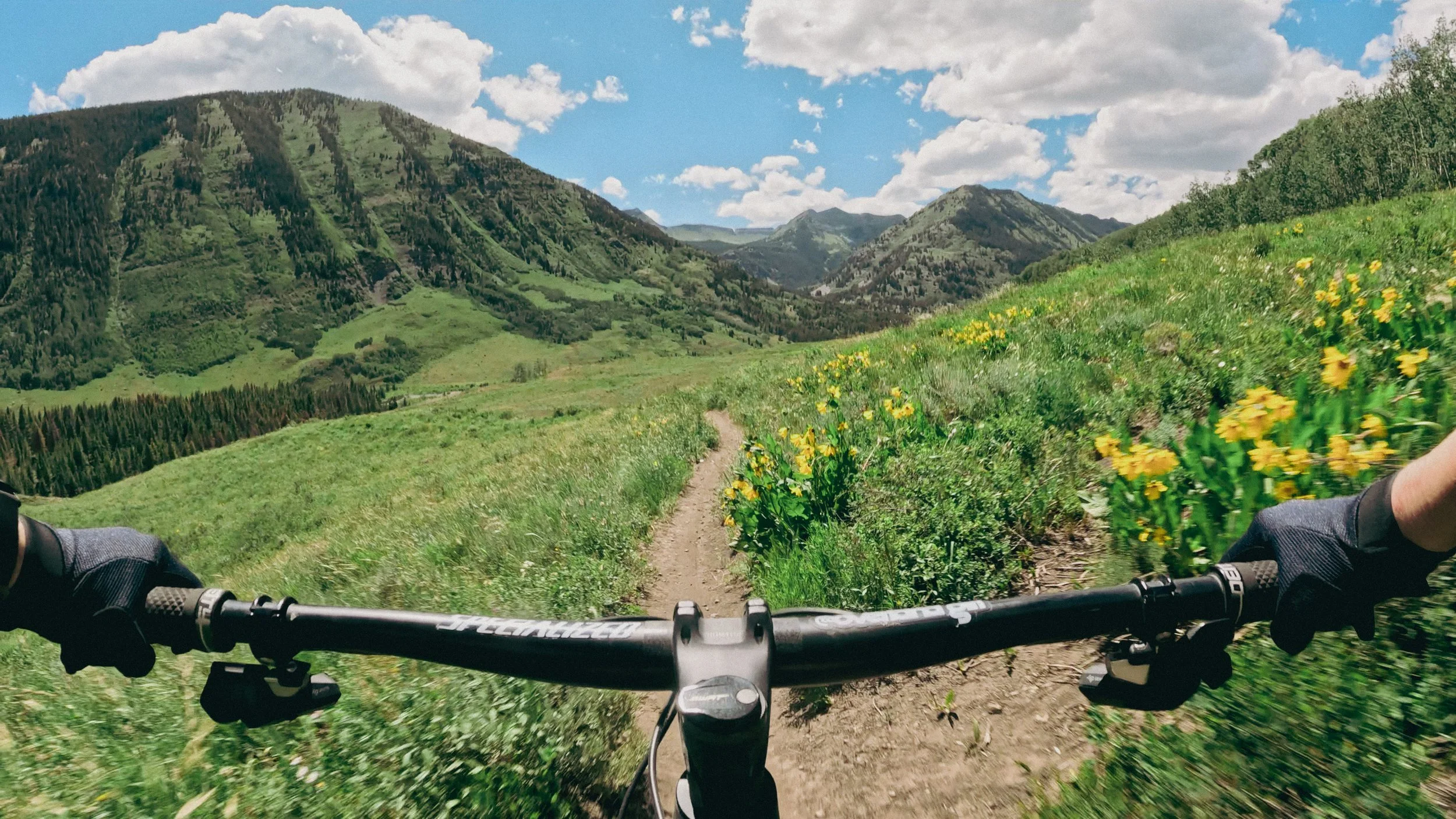 First-person view of a mountain bike on singletrack through green alpine meadows and yellow wildflowers with mountains in the background near Crested Butte, Colorado.