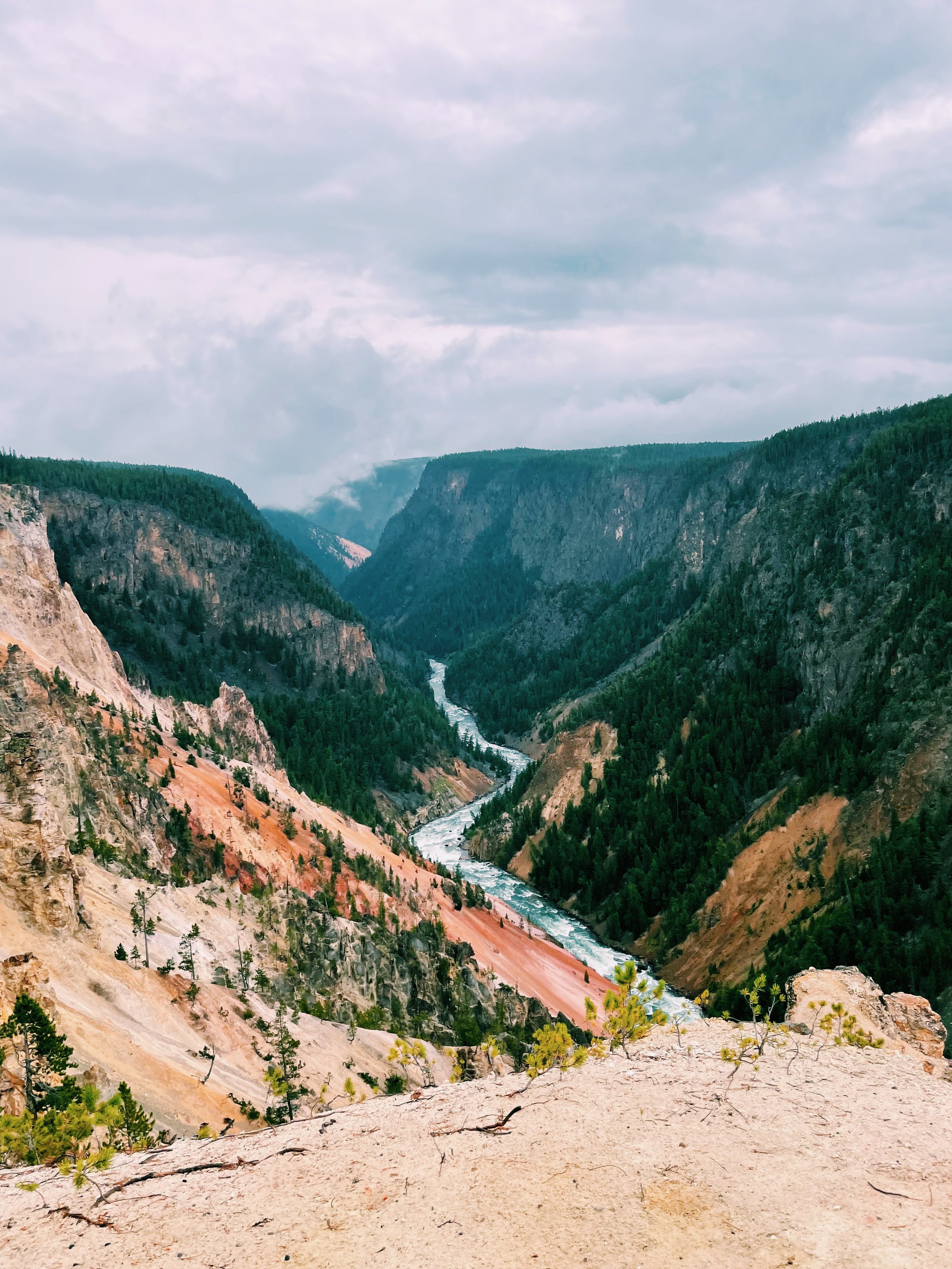 Travel Notes: Exploring the Grand Canyon of Yellowstone.