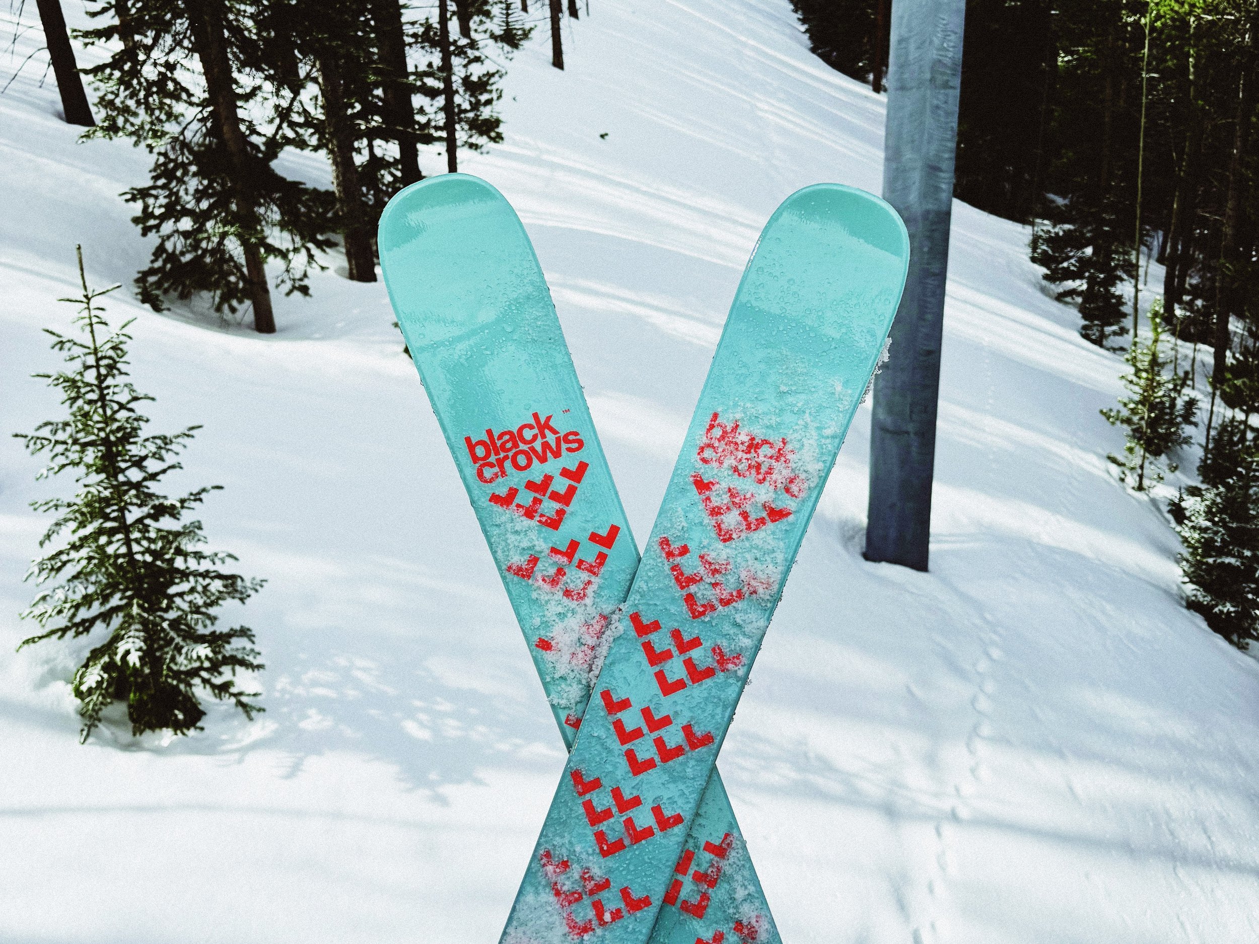 Black Crows Camox Birdie Skis & Stans Poles Review: My Honest Take.