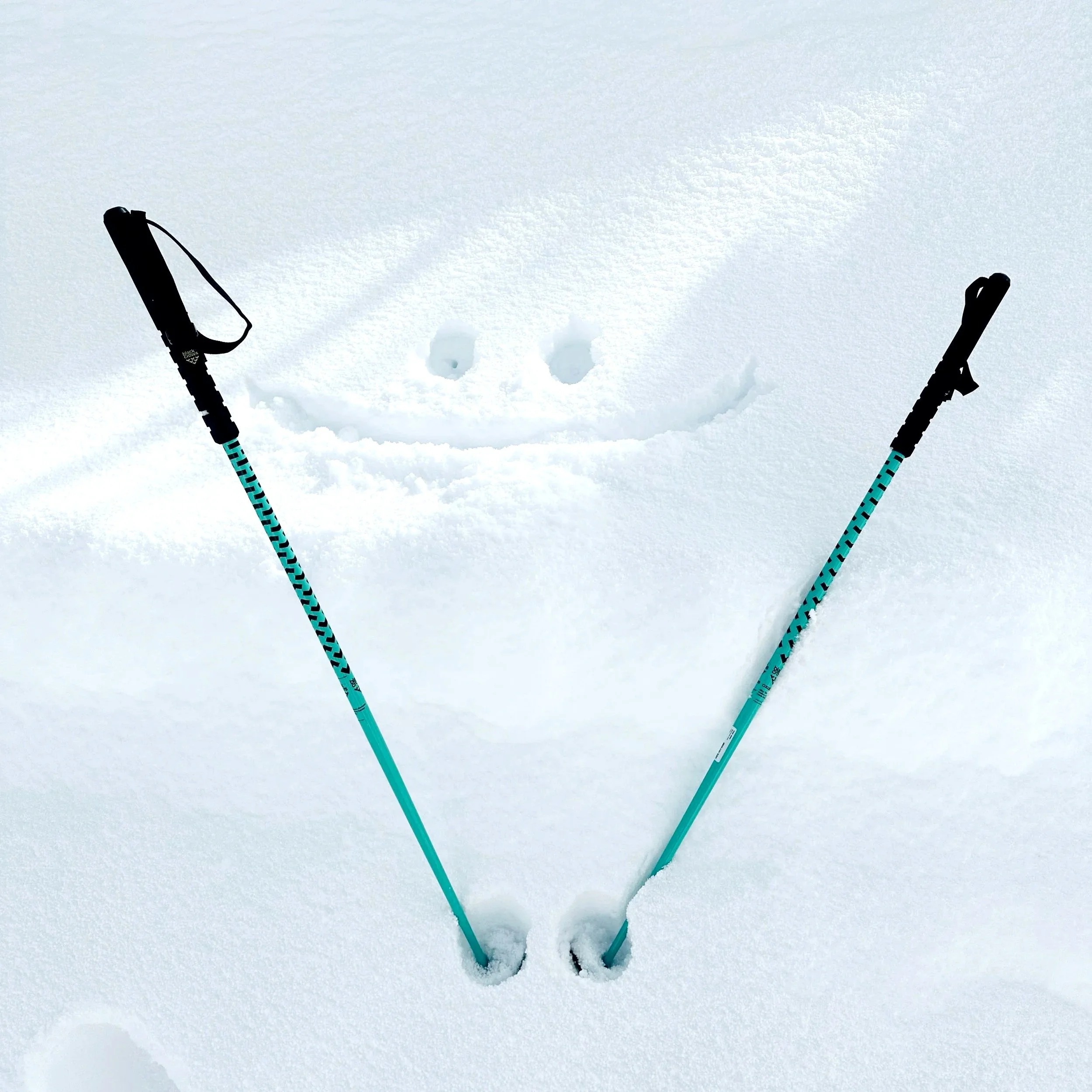 Black Crows Stans Ski Poles Review: Why I Love Them