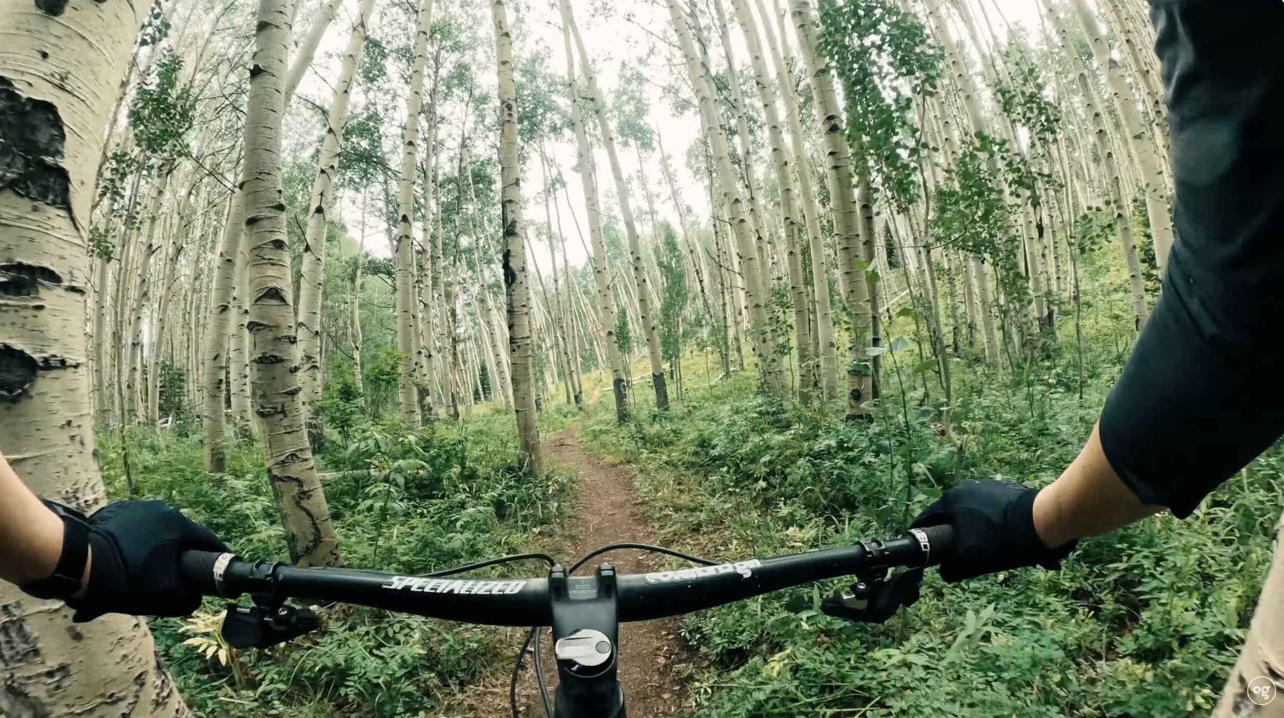 Mountain Biking Crested Butte, Colorado: An Intermediate Rider's Perspective