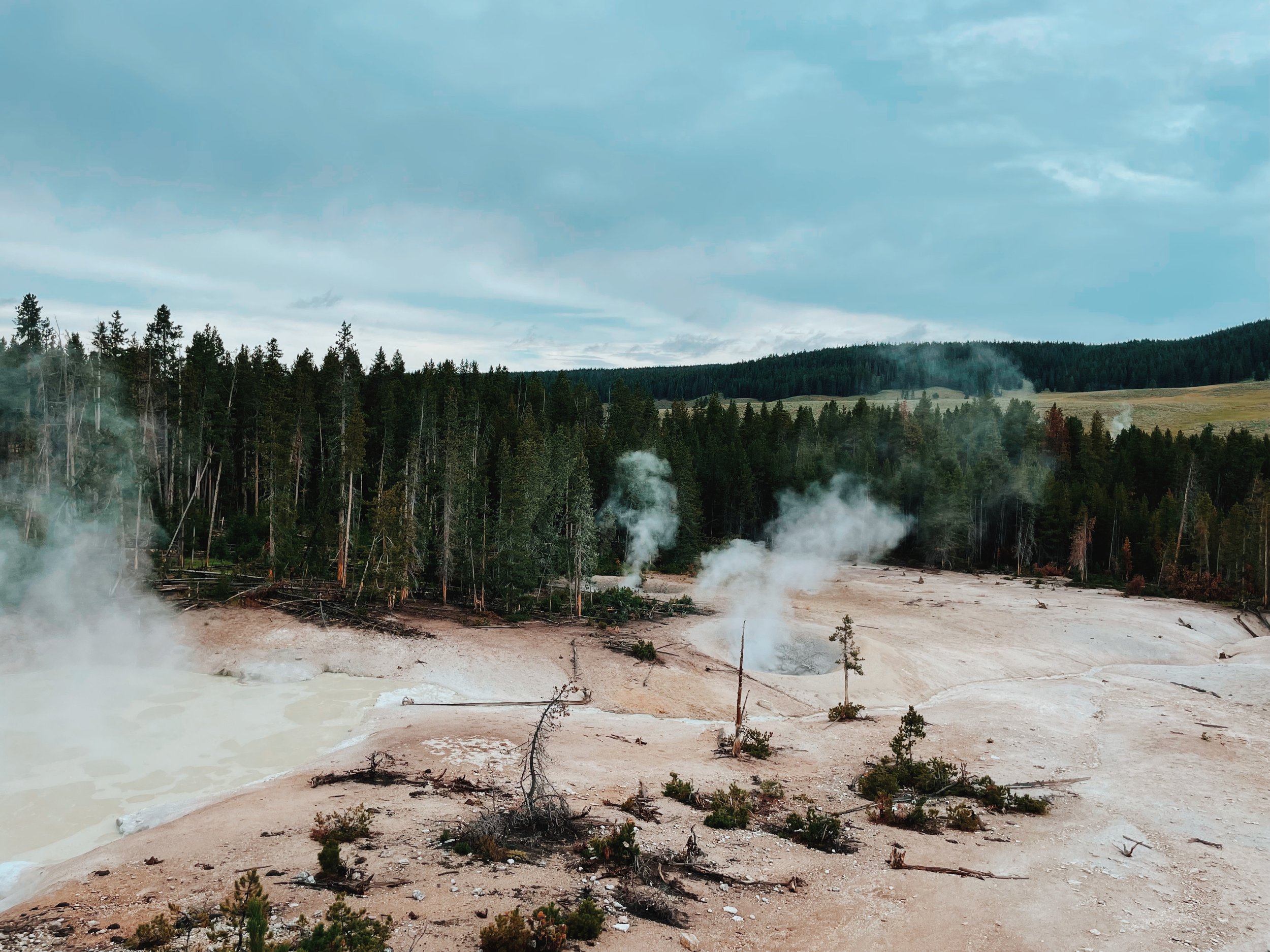Discover Yellowstone’s Norris Geyser Basin: A Journey Through Geothermal Wonders.