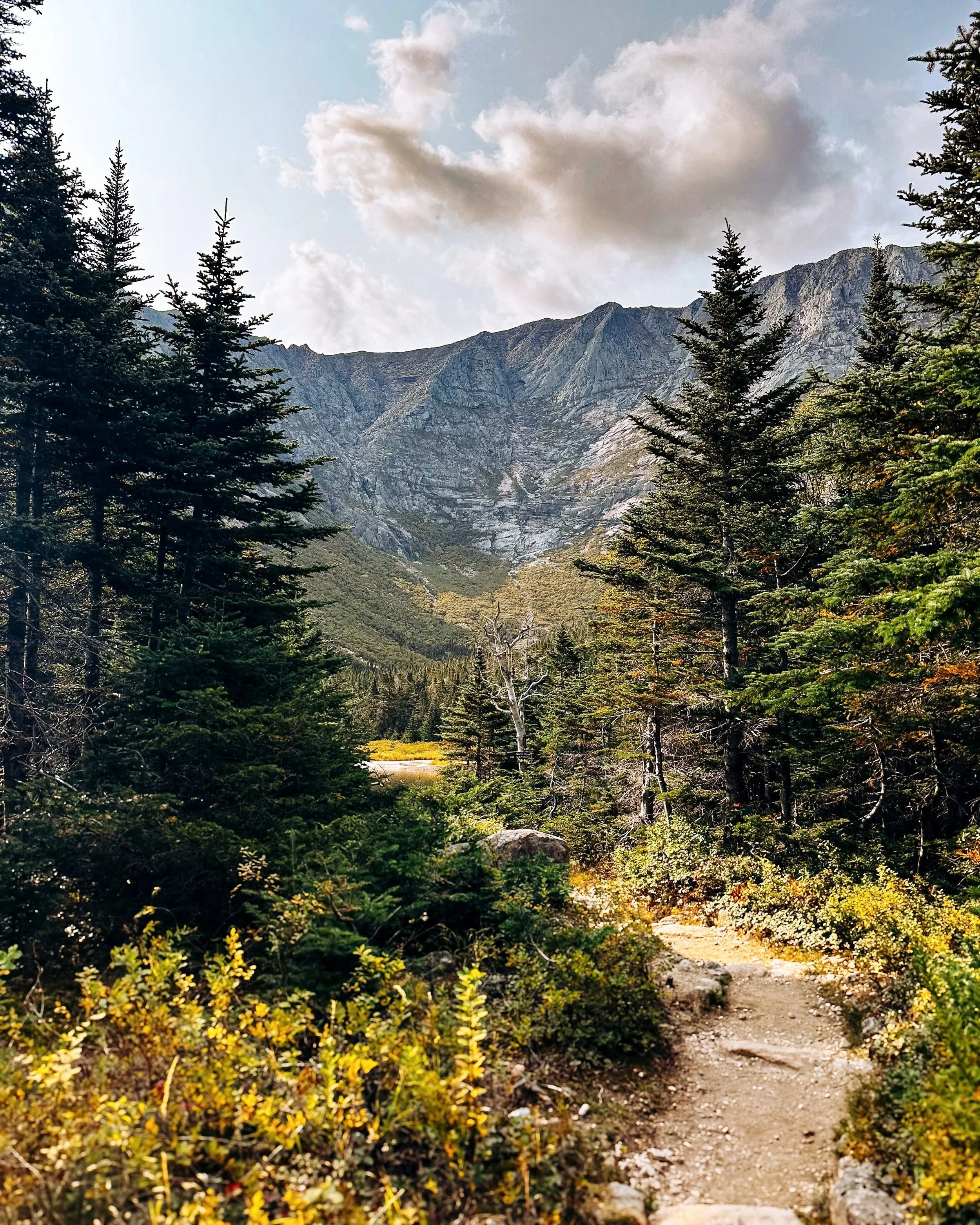 Forest path with pine trees leading toward the rocky ridgeline of Katahdin under a partly cloudy sky.