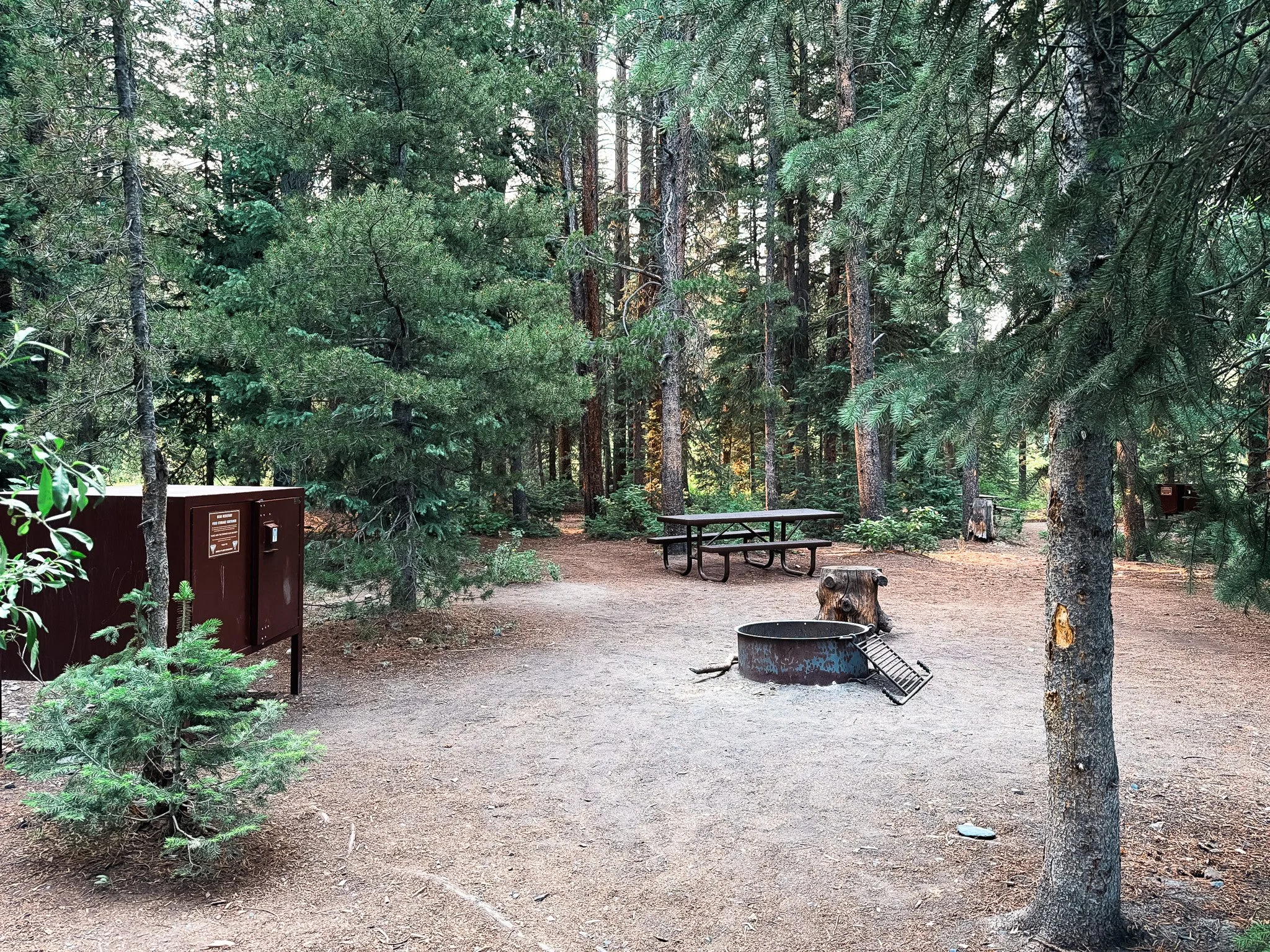 Campsite with picnic table, fire ring, and bear-proof storage locker at Oh Be Joyful Campground.
