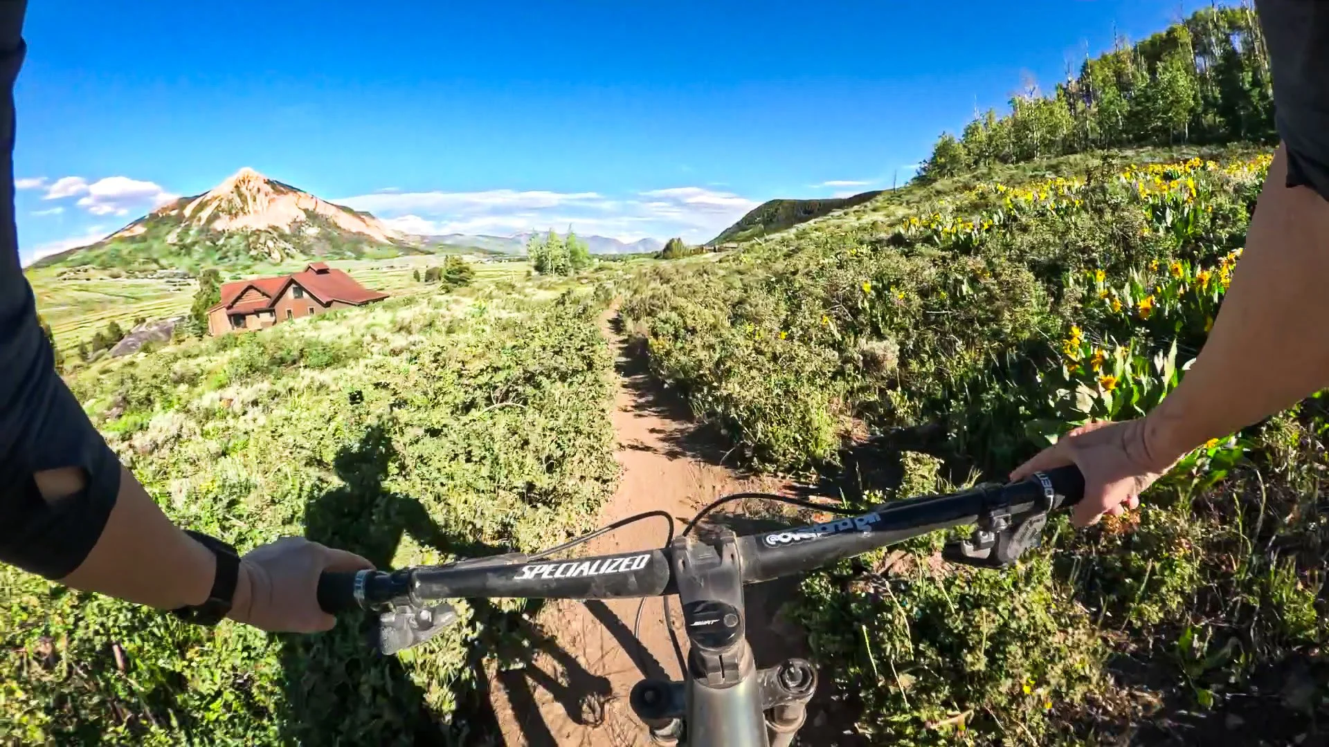 First-person mountain biking view on Lupine Trail in Crested Butte, Colorado, with narrow singletrack, yellow wildflowers, and Mt. Crested Butte in the background.