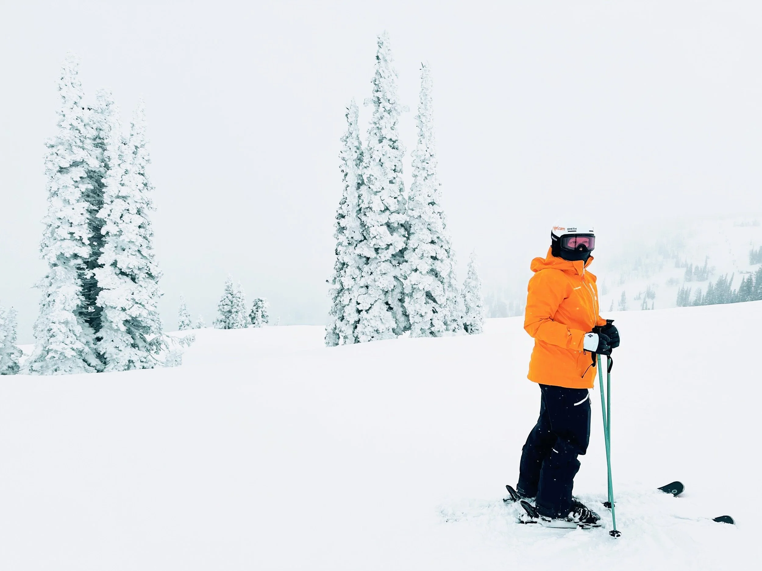 Skier in an orange jacket and black pants standing with poles in a whiteout, surrounded by snow-covered fir trees on a stormy mountain day.