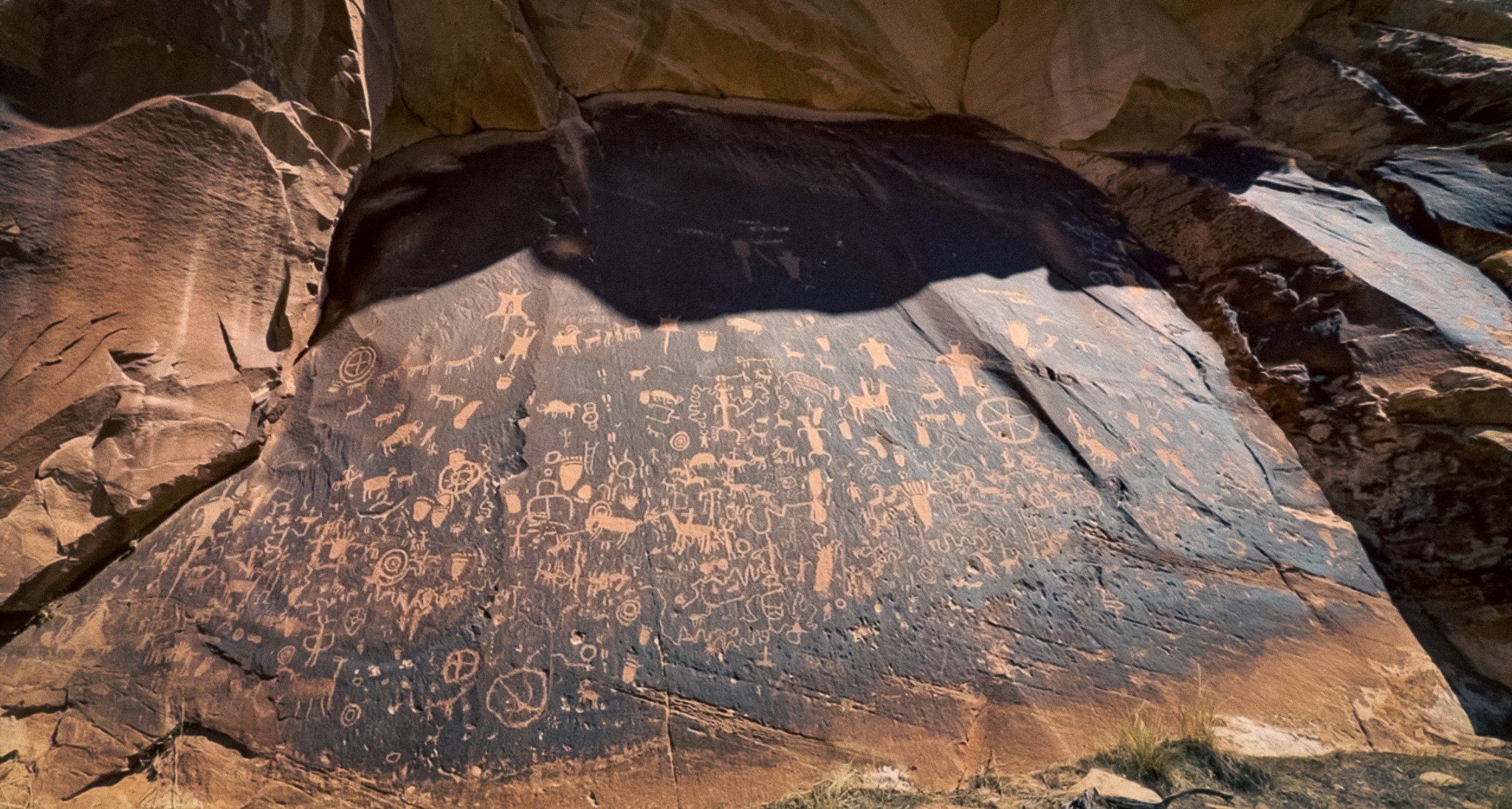 Wide view of Newspaper Rock showing hundreds of ancient petroglyphs carved into a dark sandstone panel in southeastern Utah.
