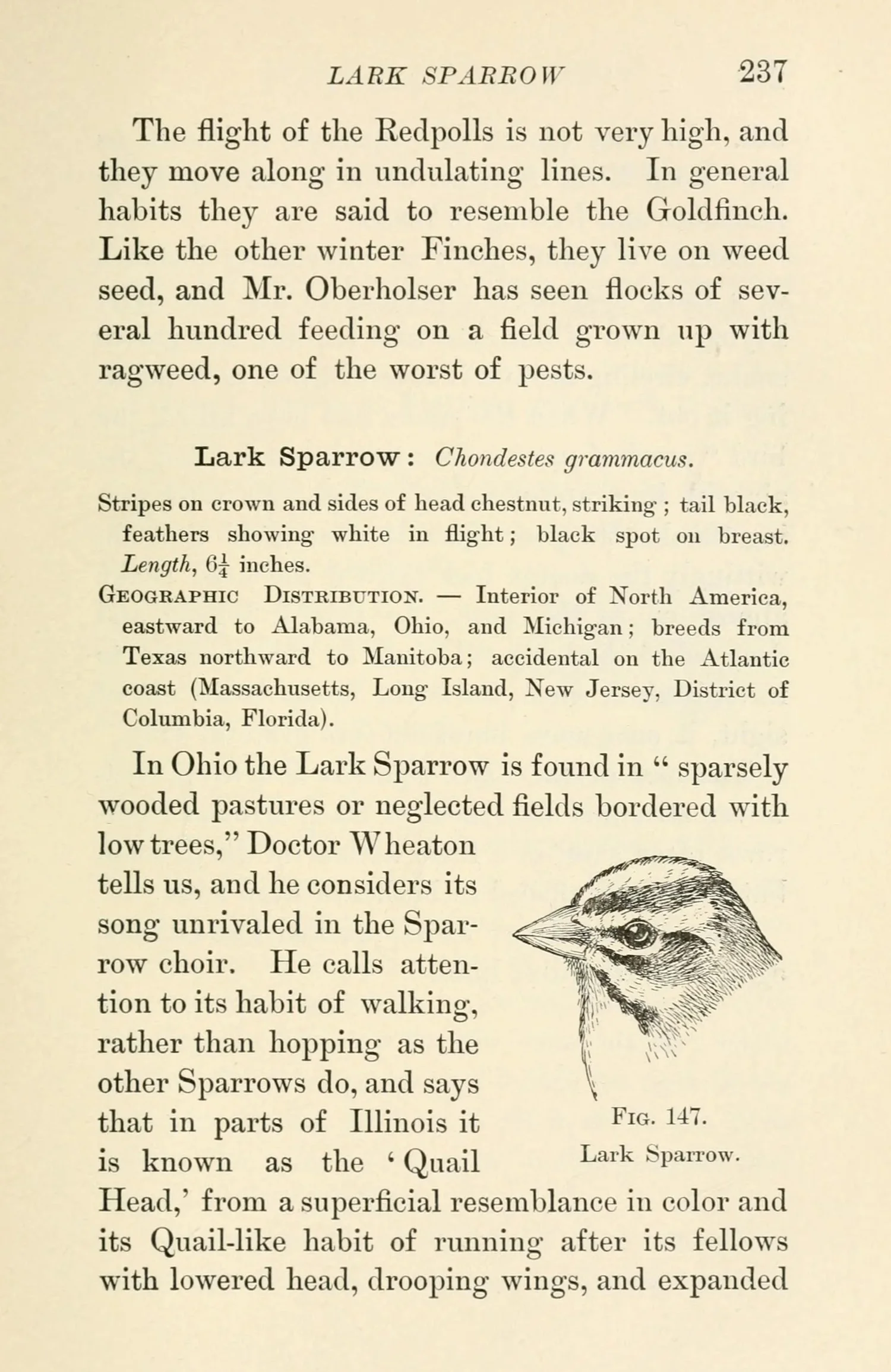 Field Guide Simple Field Guides Every Camper Should Keep in the Car — Overland Girl