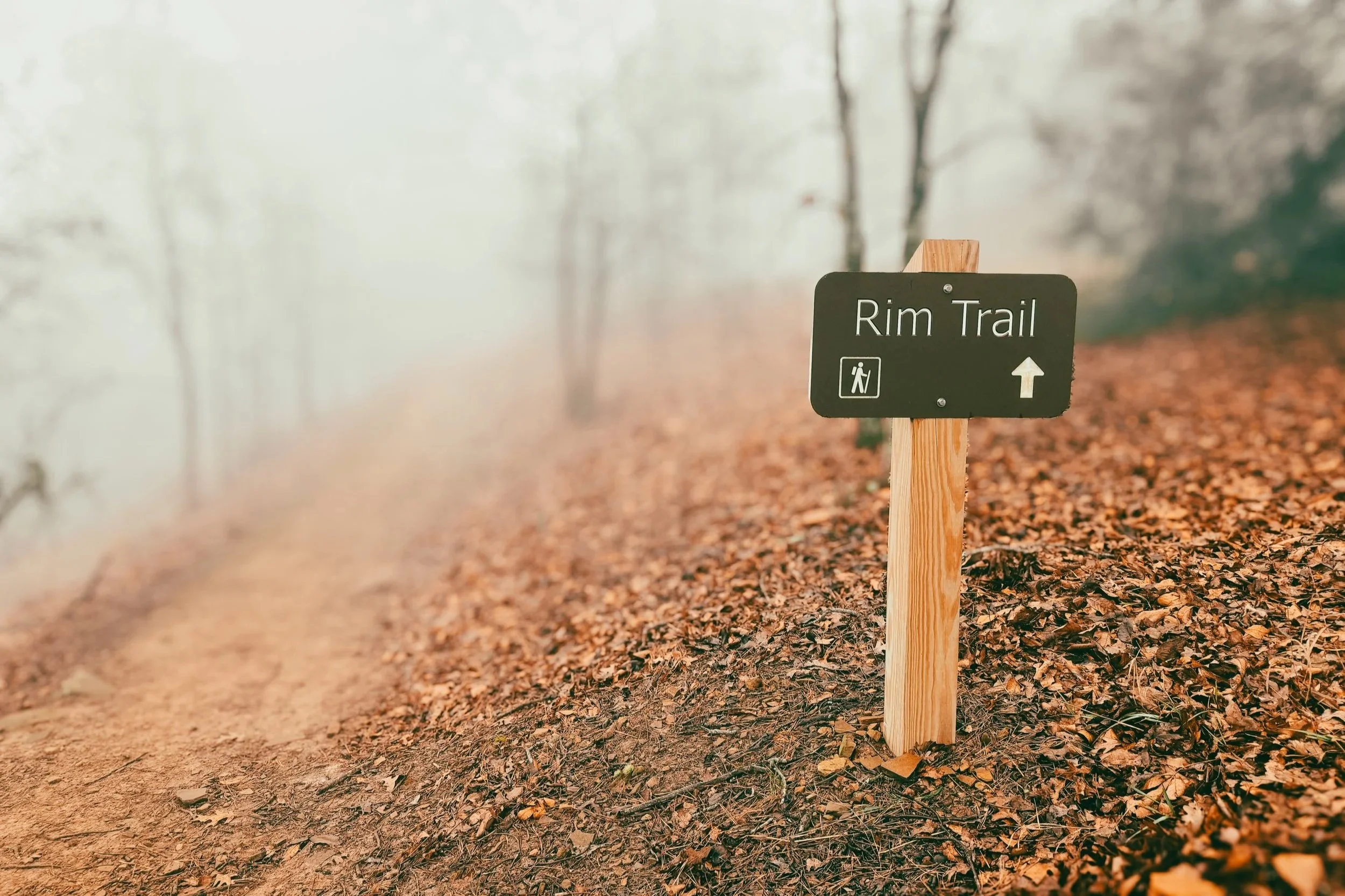 Rim Trail sign at Mount Nebo State Park in heavy fog