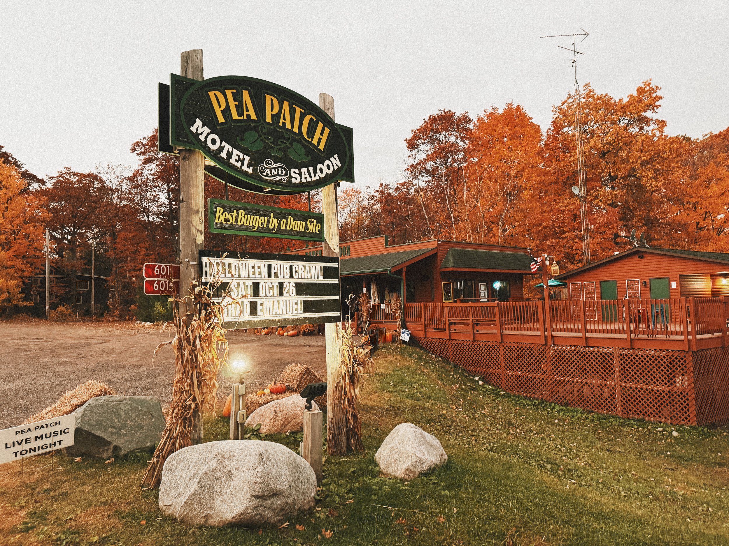 Pea Patch Motel sign with fall-colored trees surrounding the building.