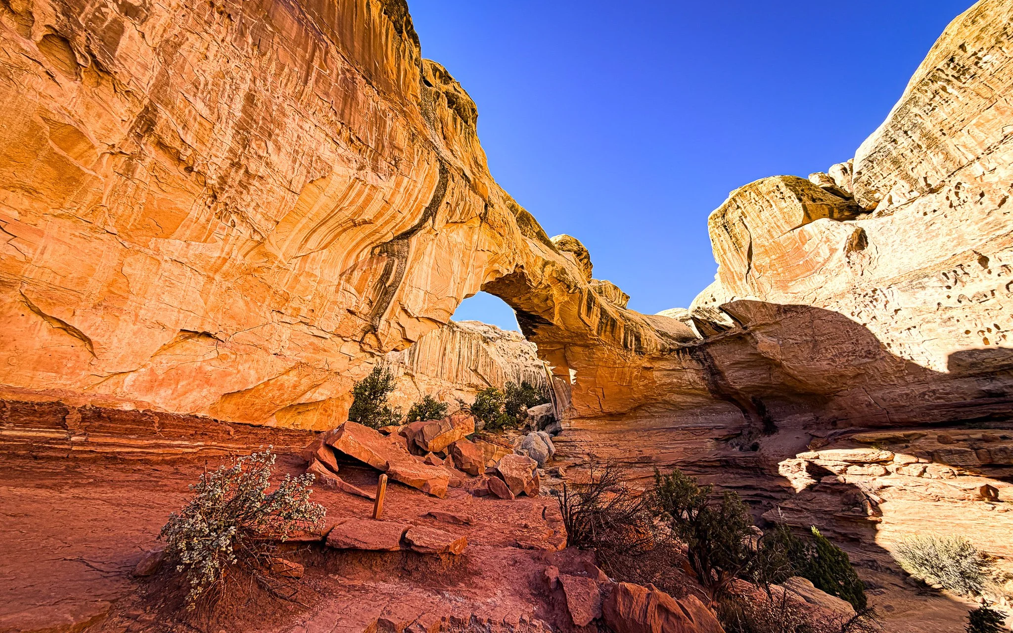 Hickman Bridge natural sandstone arch in Capitol Reef National Park Utah.