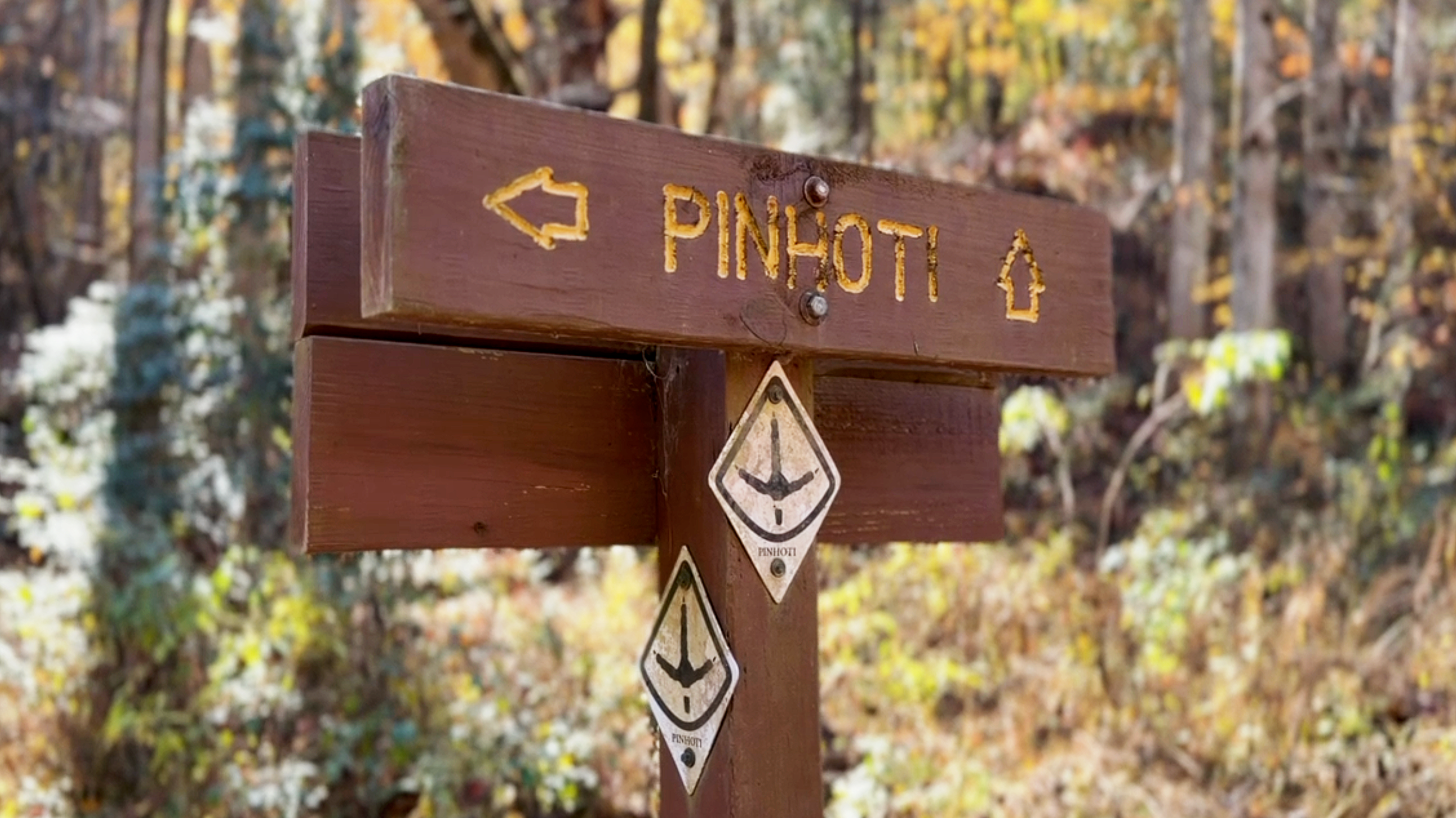 Wooden Pinhoti Trail sign with directional arrows at the Pinhoti 3 trailhead in the Chattahoochee–Oconee National Forest in North Georgia.
