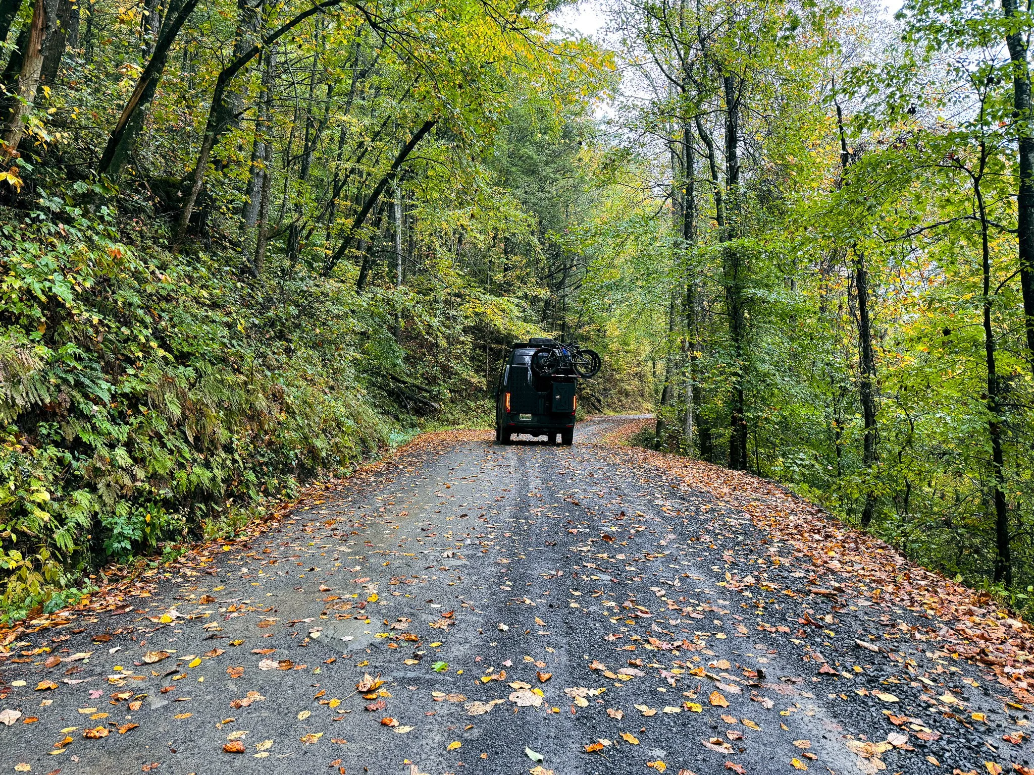 Van with bikes on the back driving along a leaf-covered forest service road in the Chattahoochee–Oconee National Forest in North Georgia.