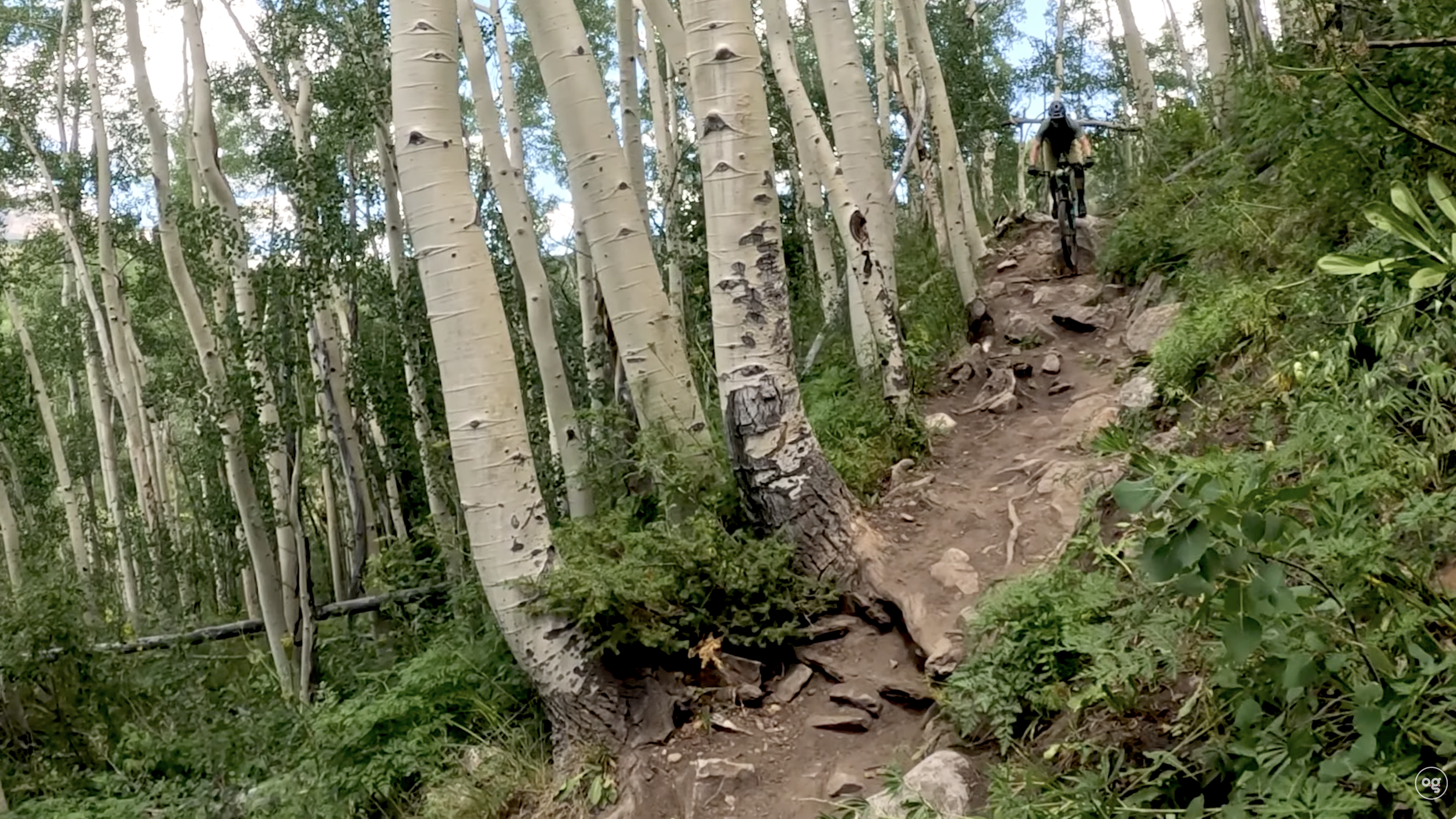 Mountain biker riding a technical section of Strand Hill Trail in Crested Butte, Colorado, navigating exposed roots, rocks, and a narrow wooden crossing.