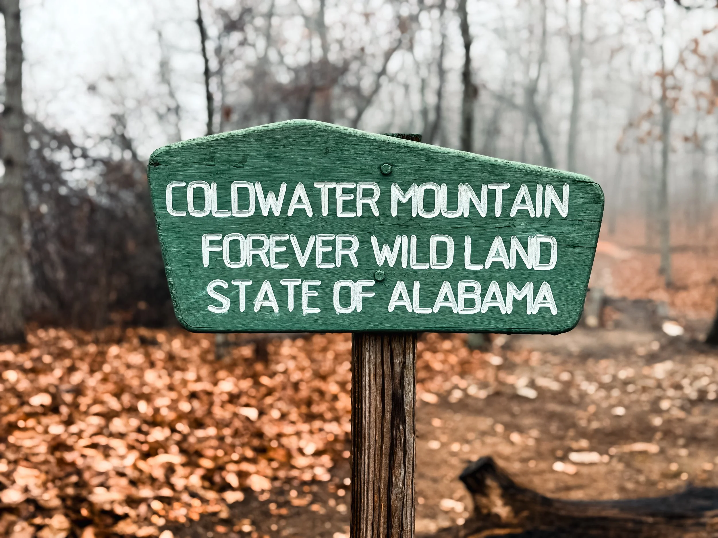 Green Coldwater Mountain Forever Wild Land sign along a wooded trail in Alabama with fallen leaves and bare trees.