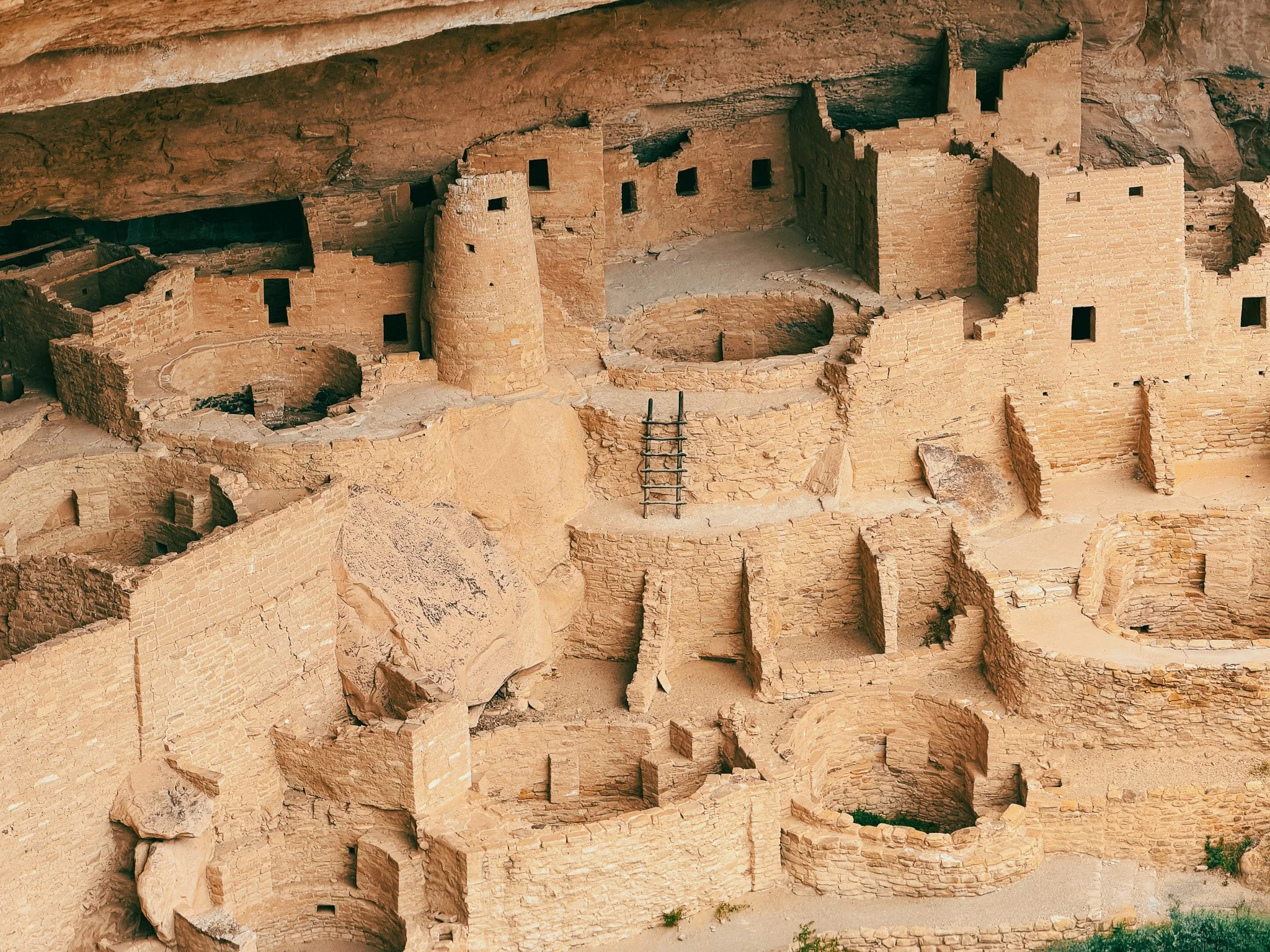 Close-up view of Cliff Palace at Mesa Verde National Park showing stone towers, kivas, ladders, and ancient rooms built into the cliff walls.