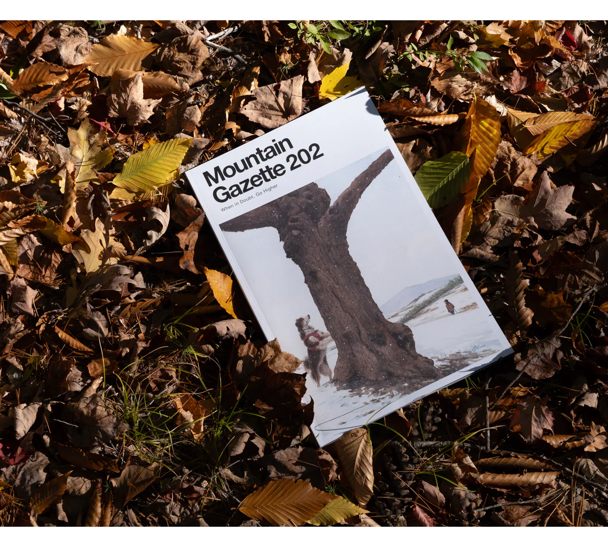 Mountain Gazette Review: The Must-Read Magazine for Outdoor Enthusiasts.