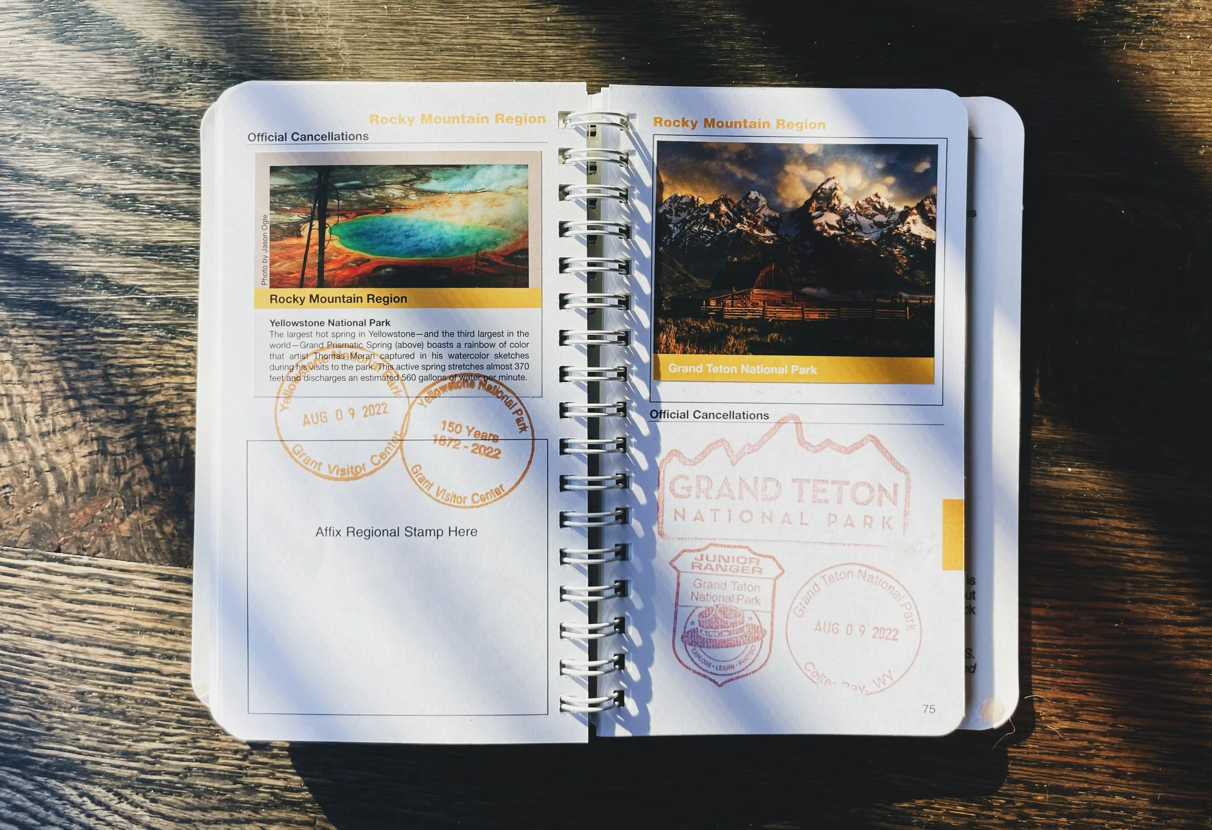 Passport To Your National Parks with stamps from various national parks