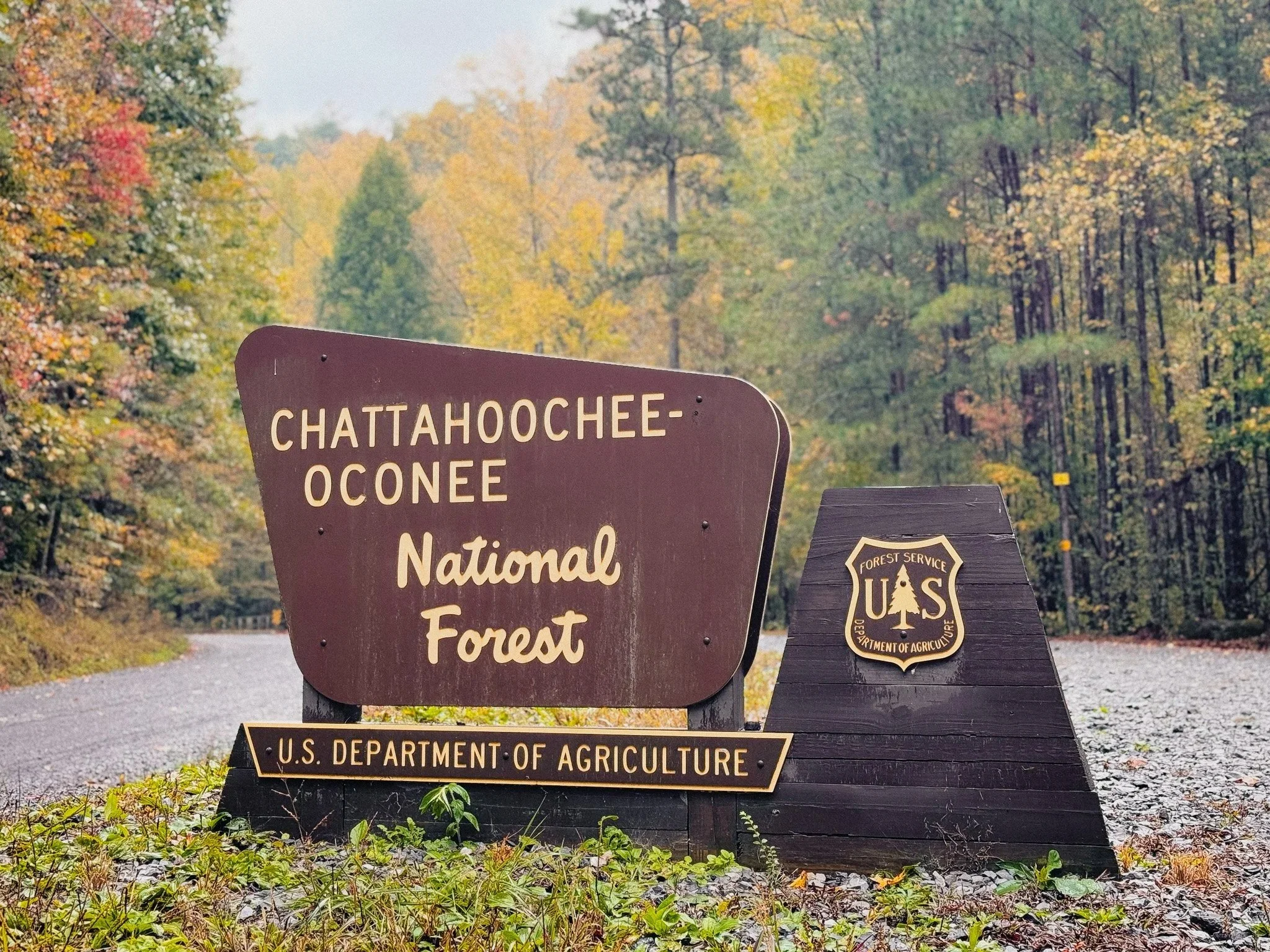 Entrance sign for the Chattahoochee–Oconee National Forest along a forest road in North Georgia.