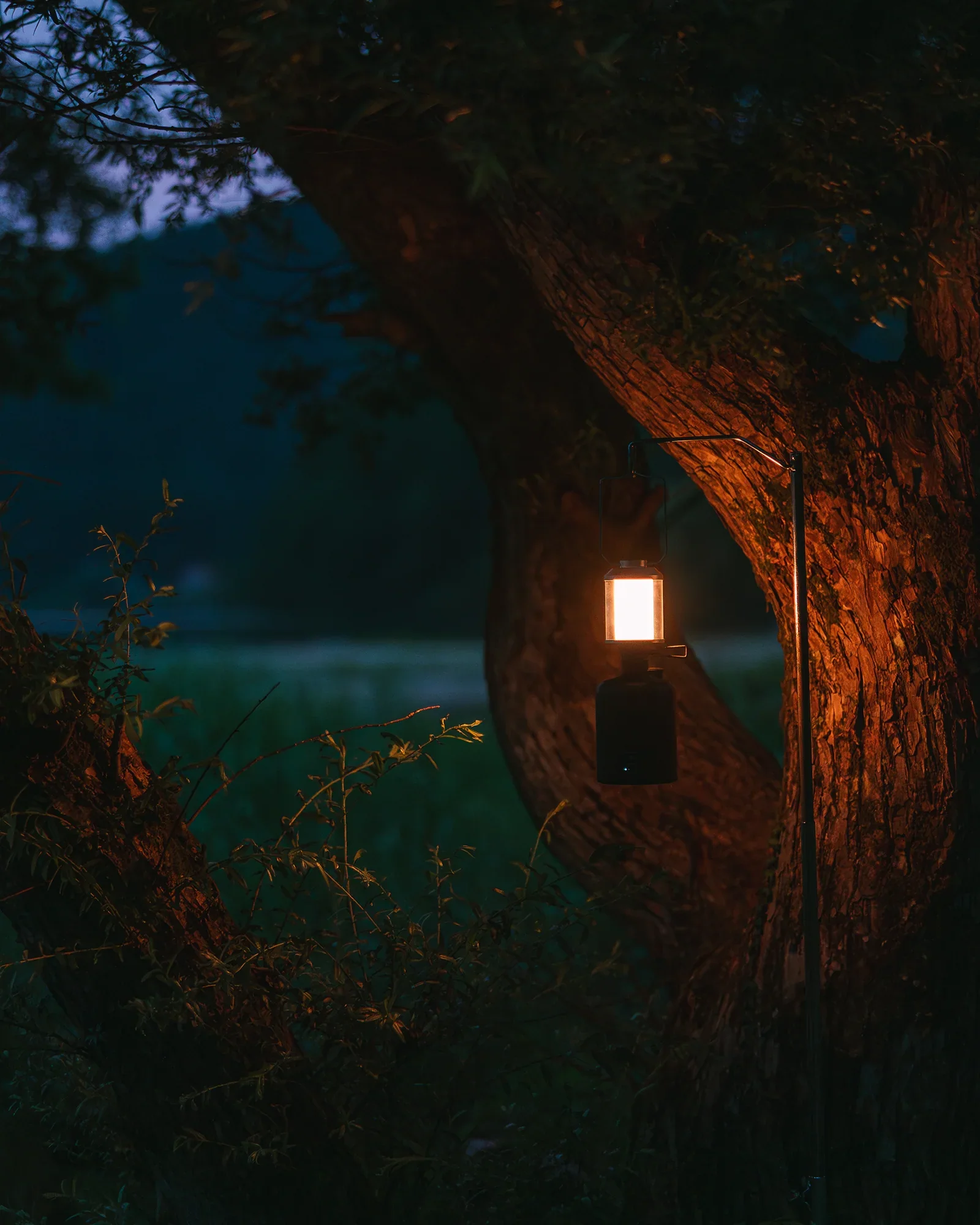 Best Snow Peak Lights for Camping: Which Lantern Should You Buy?