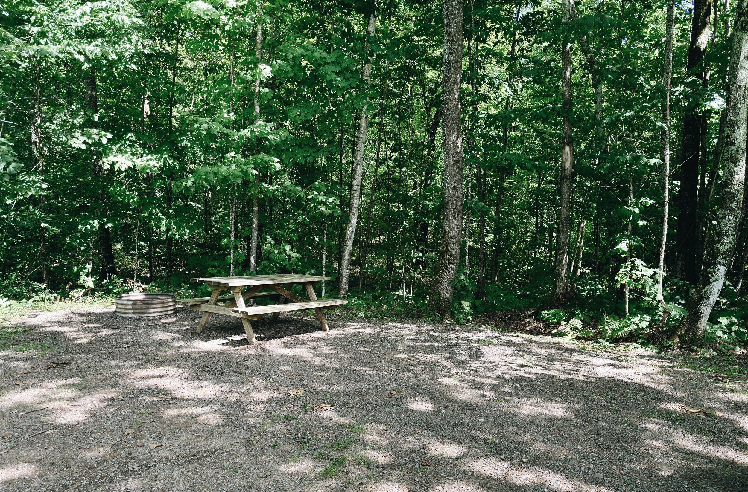 My campsite at Roam Basecamp.