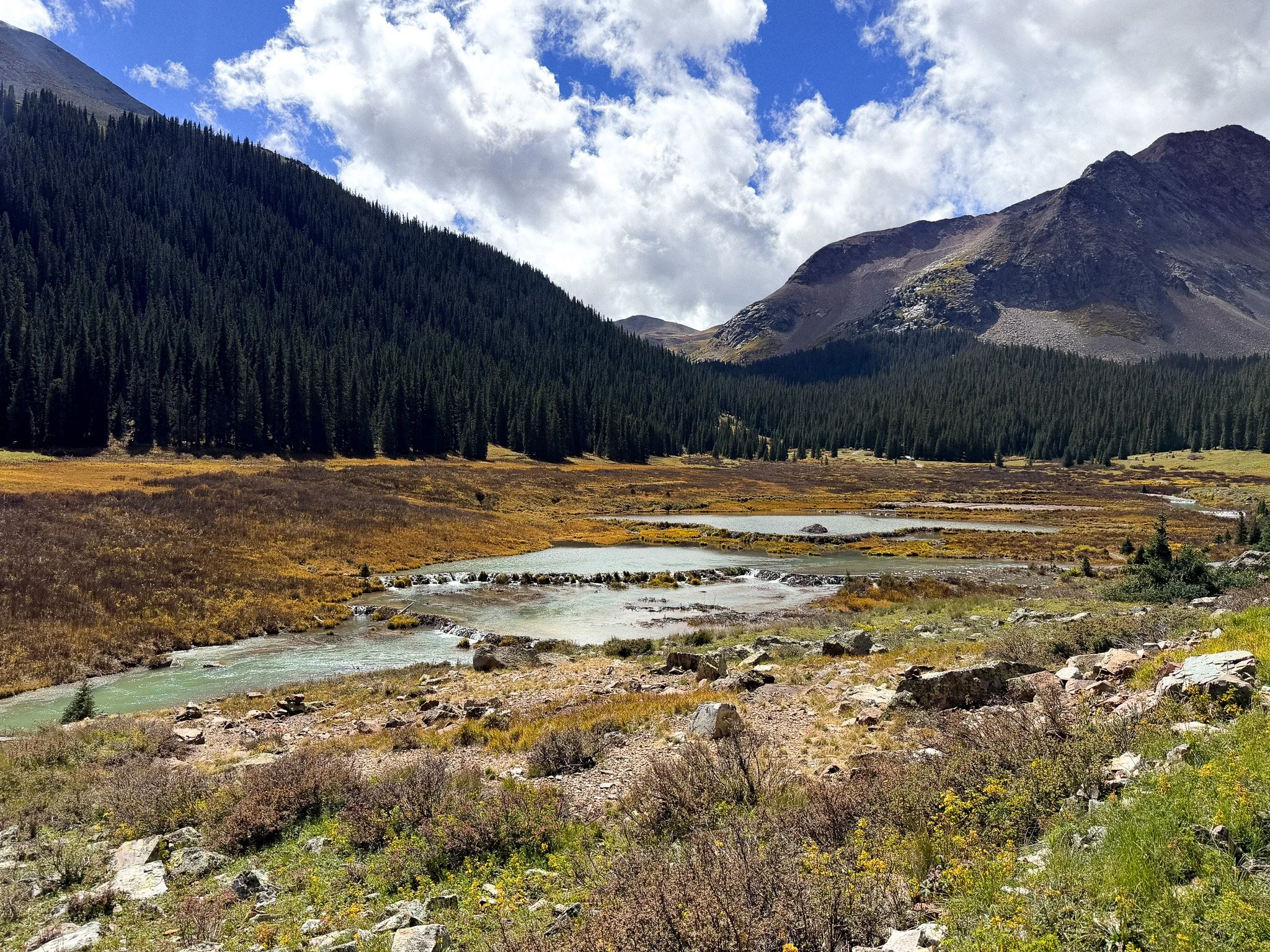 Mountain stream winding through a high alpine basin in Colorado's San Juan Mountains