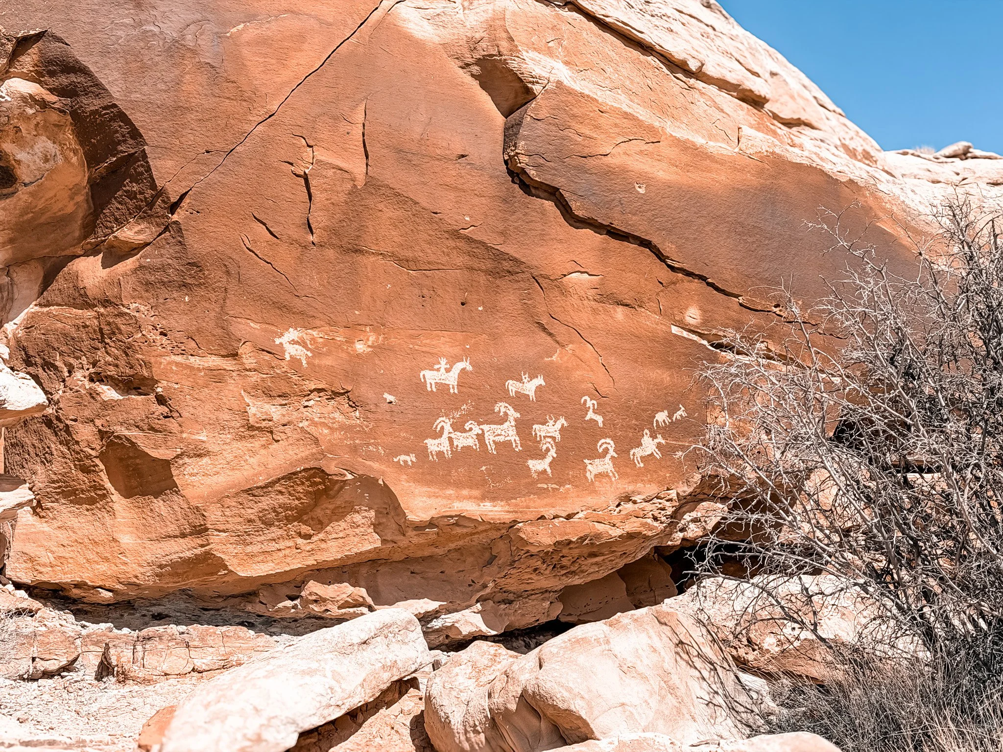 Petroglyph panel near Wolfe Ranch in Arches National Park showing carved animal figures on a sandstone rock wall along the Delicate Arch trail.