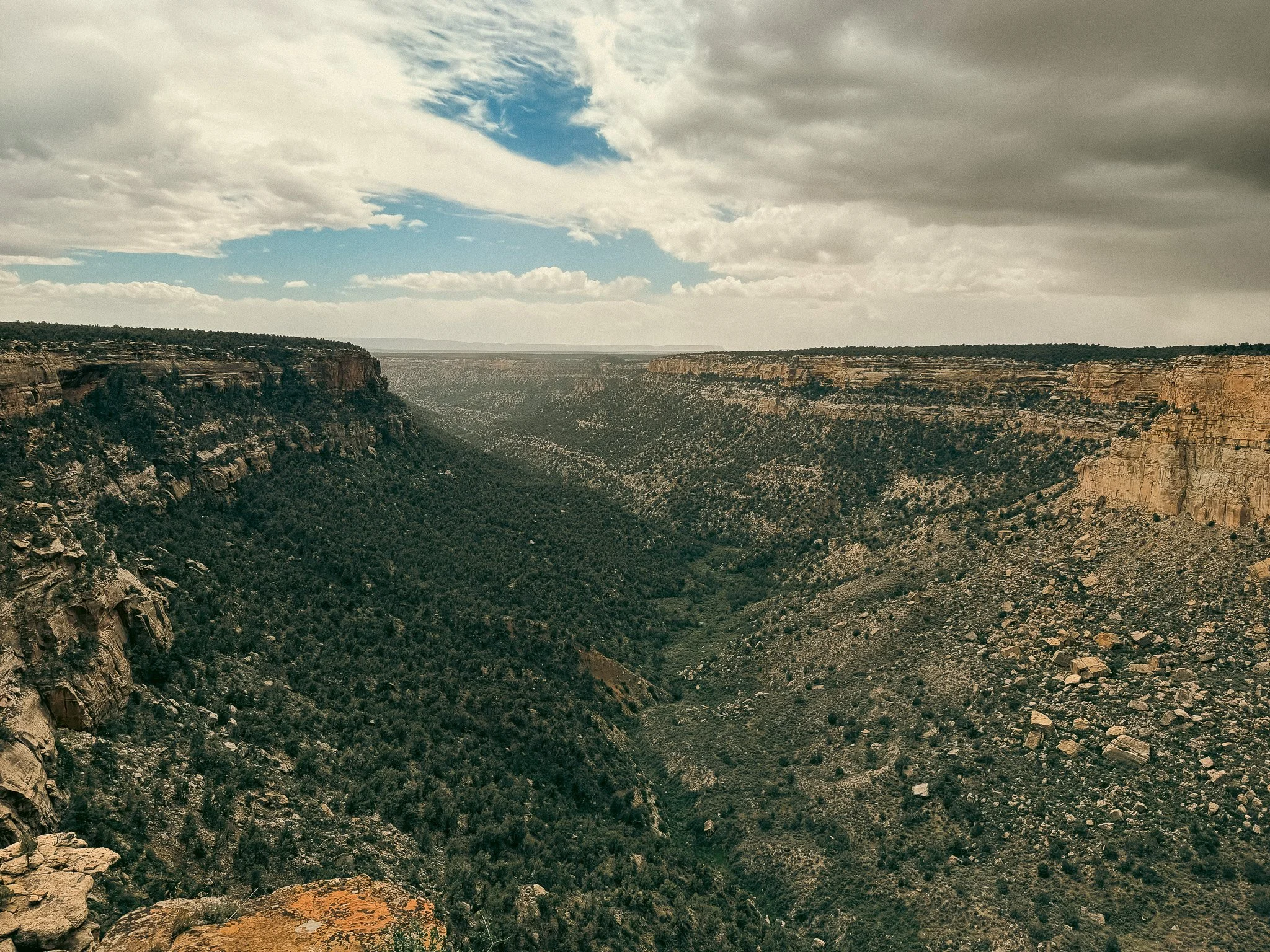 Canyon overlook view from Mesa Verde National Park with steep cliffs and forested valley below in Colorado.