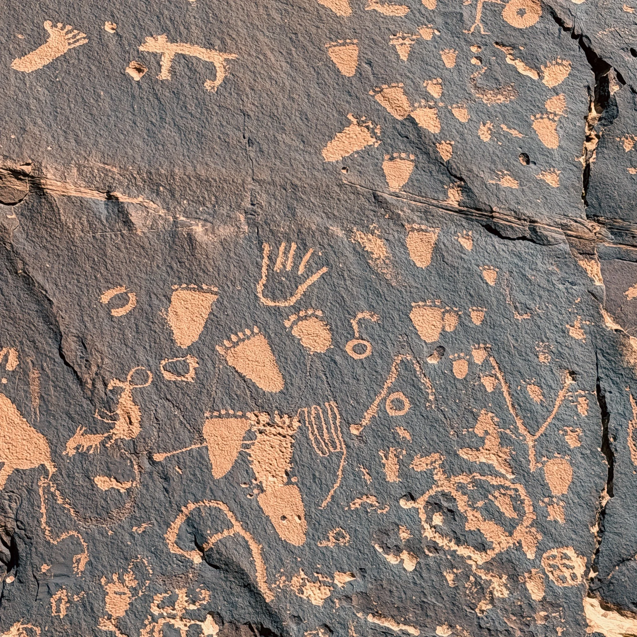 Close-up of petroglyphs at Newspaper Rock featuring footprints, handprints, and other ancient symbols carved into sandstone.