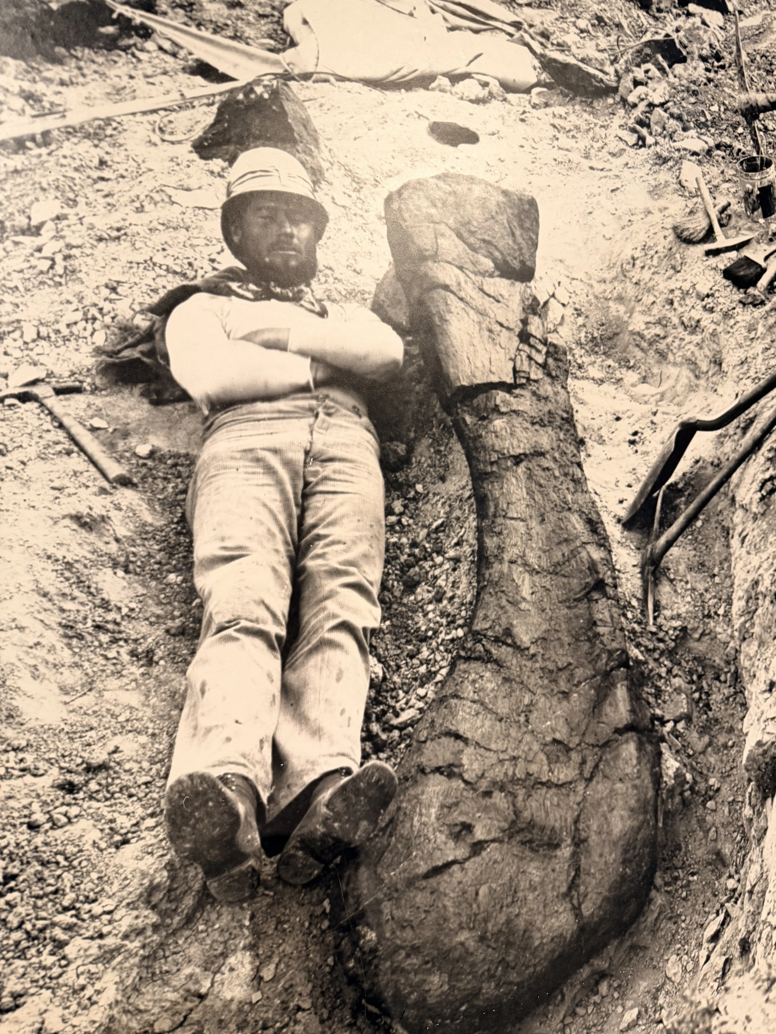 Black‑and‑white photograph of Elmer Riggs standing next to a massive dinosaur leg fossil embedded in rock in western Colorado.