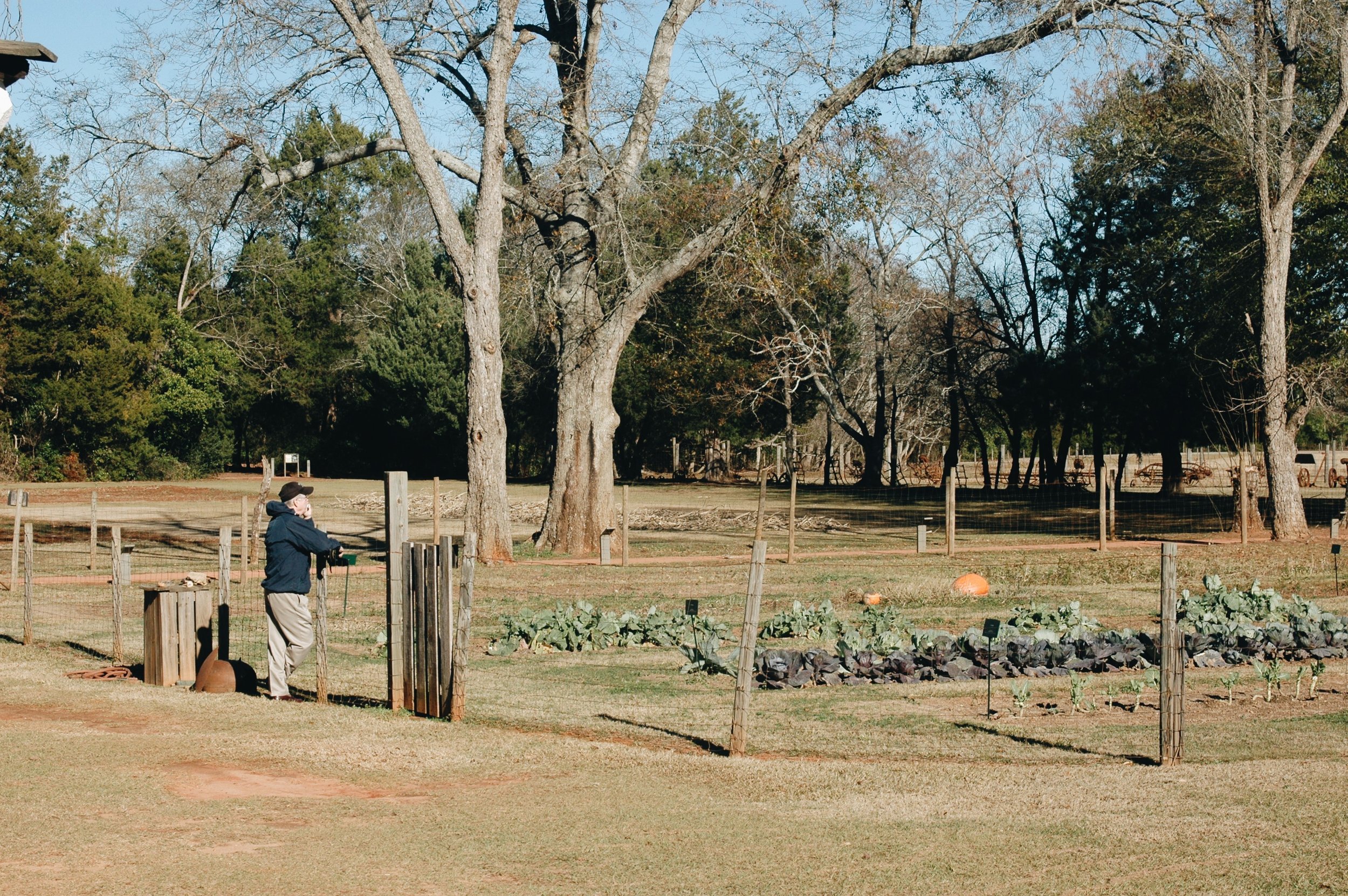 My Dad overlooking one of the agricultural fields at Jimmy Carter Boyhood Farm