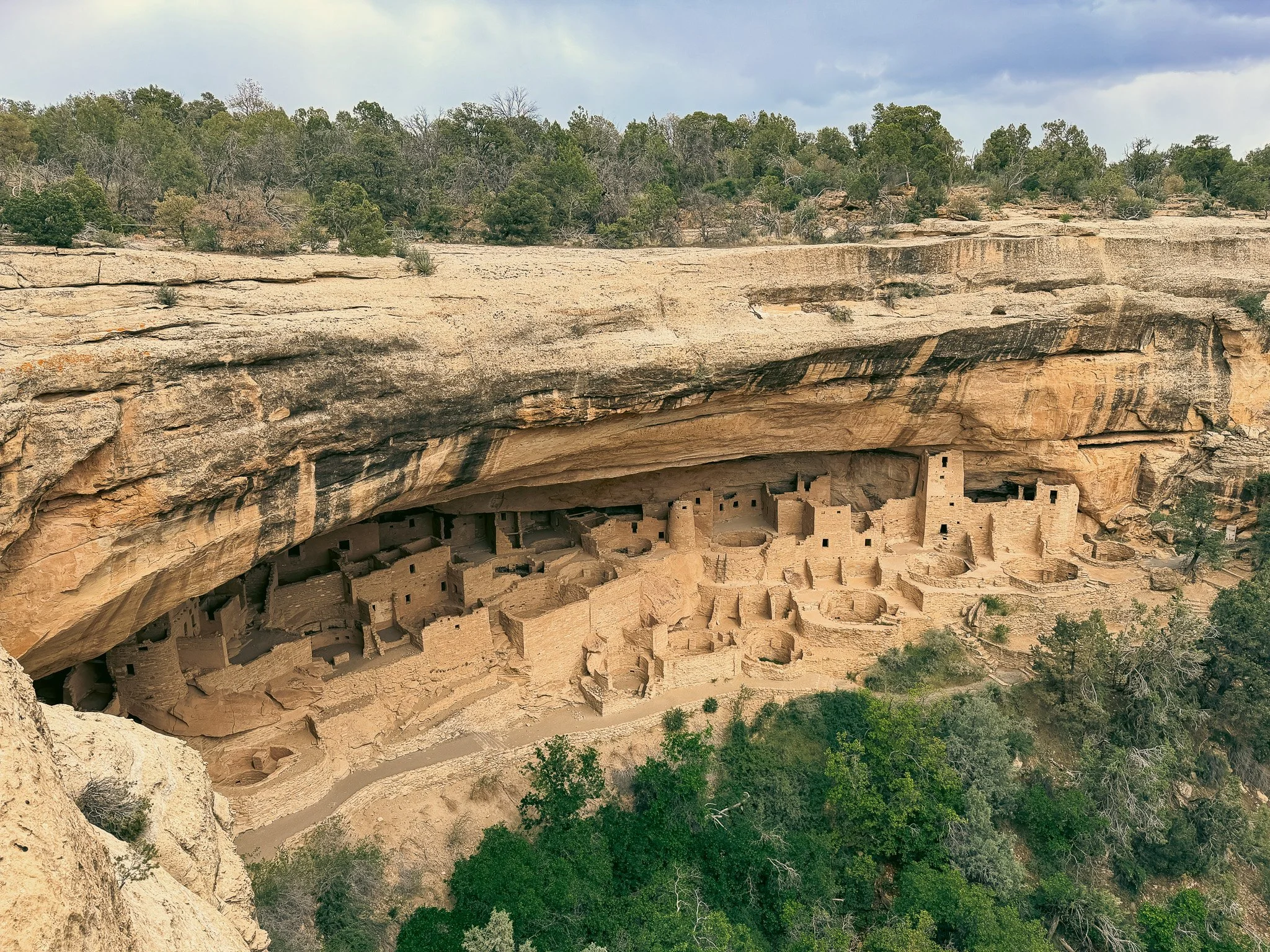 Cliff Palace cliff dwelling built into a massive sandstone alcove at Mesa Verde National Park in Colorado.
