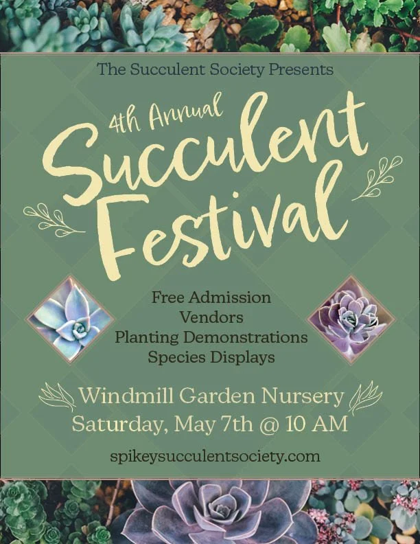 p2-SucculentSociety-TaylorKellerFinal.jpg