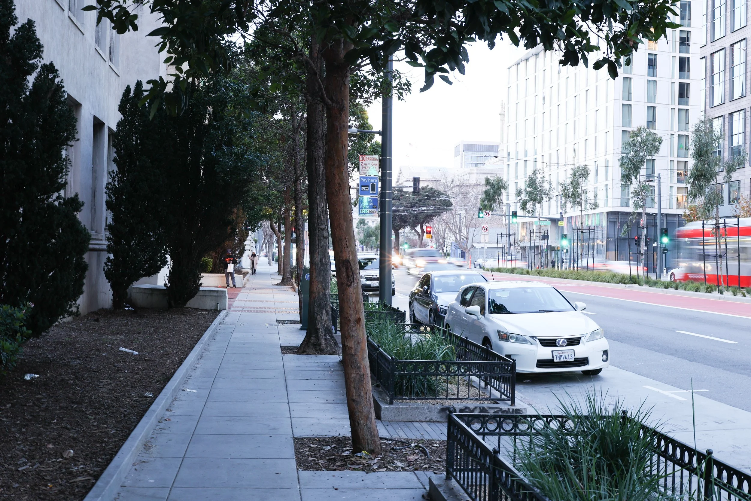 SF By Harrison-01.jpg