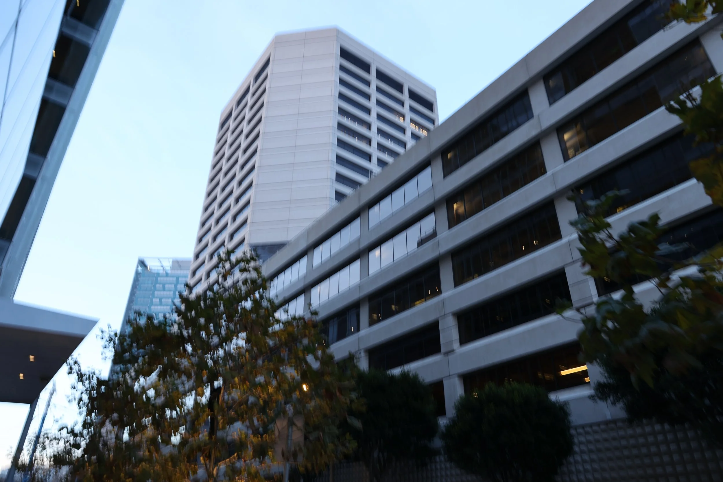 SF By Harrison-19.jpg