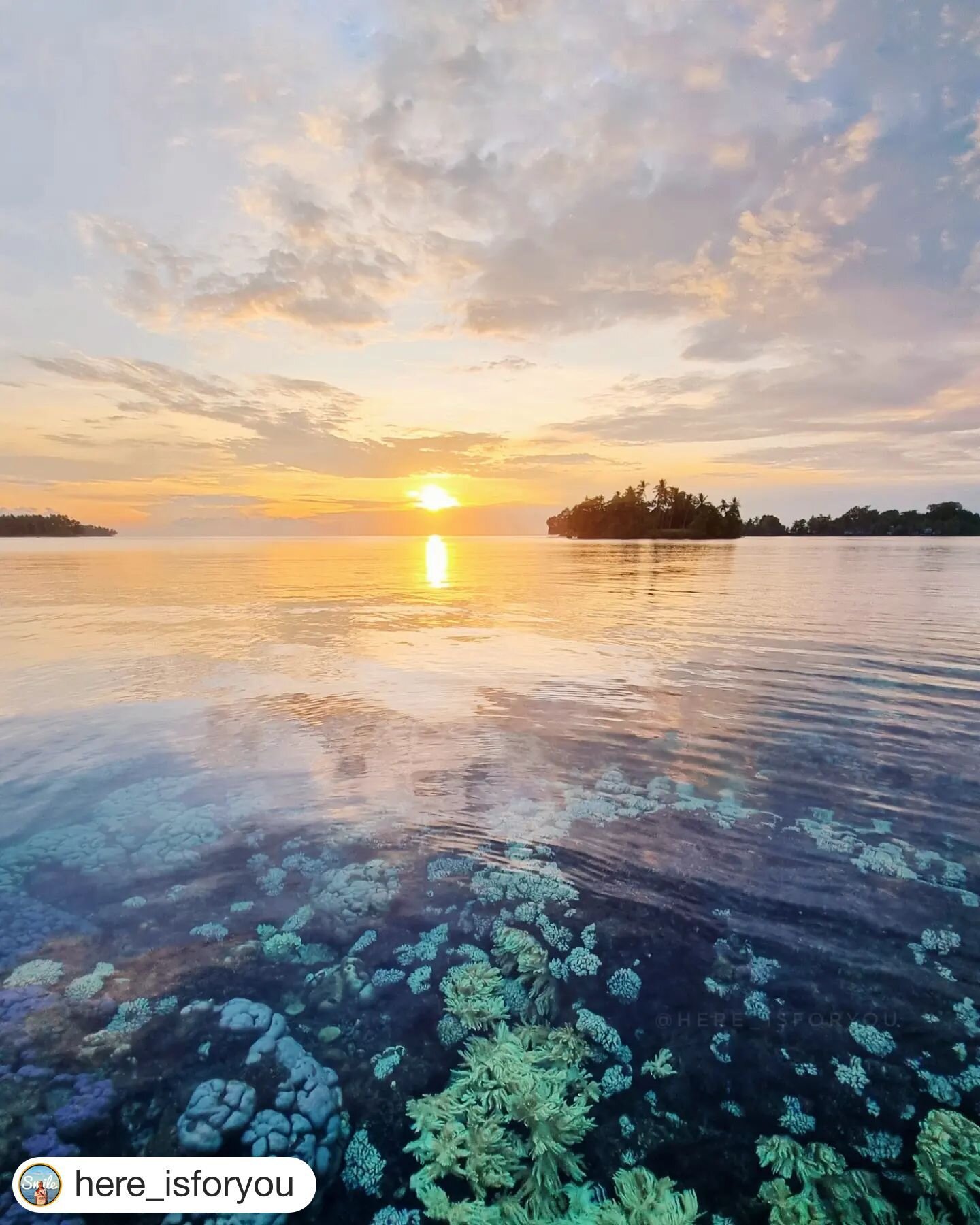 Immerse yourself in the unfiltered beauty of Papua New Guinea, where every morning offers picturesque views right from your balcony! 🌅🛌

📷 @here_isforyou
#madangresort #travel #pngtourism #photography #sunrise #wakeuptobeauty