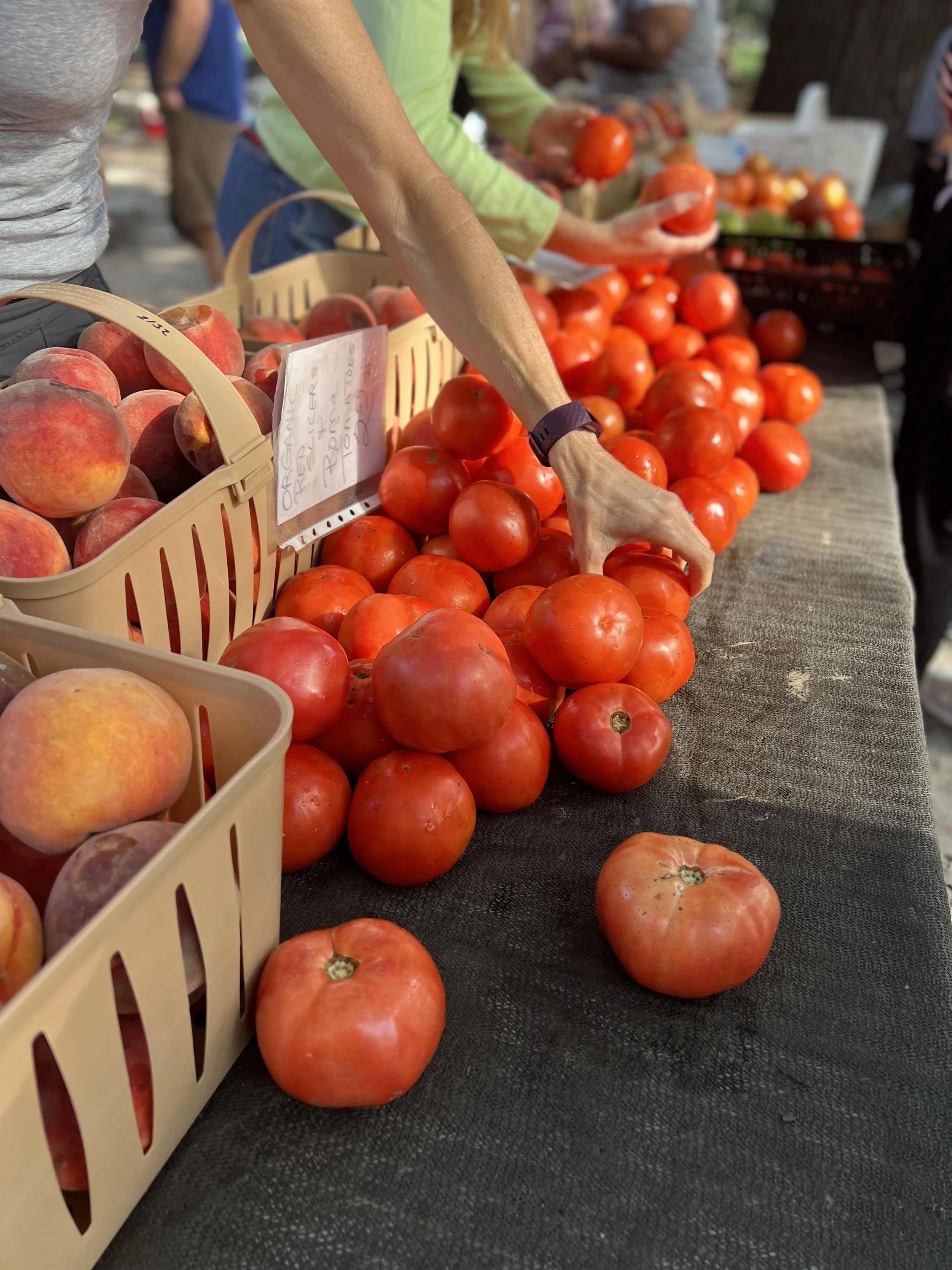 farmers market vendors.jpg