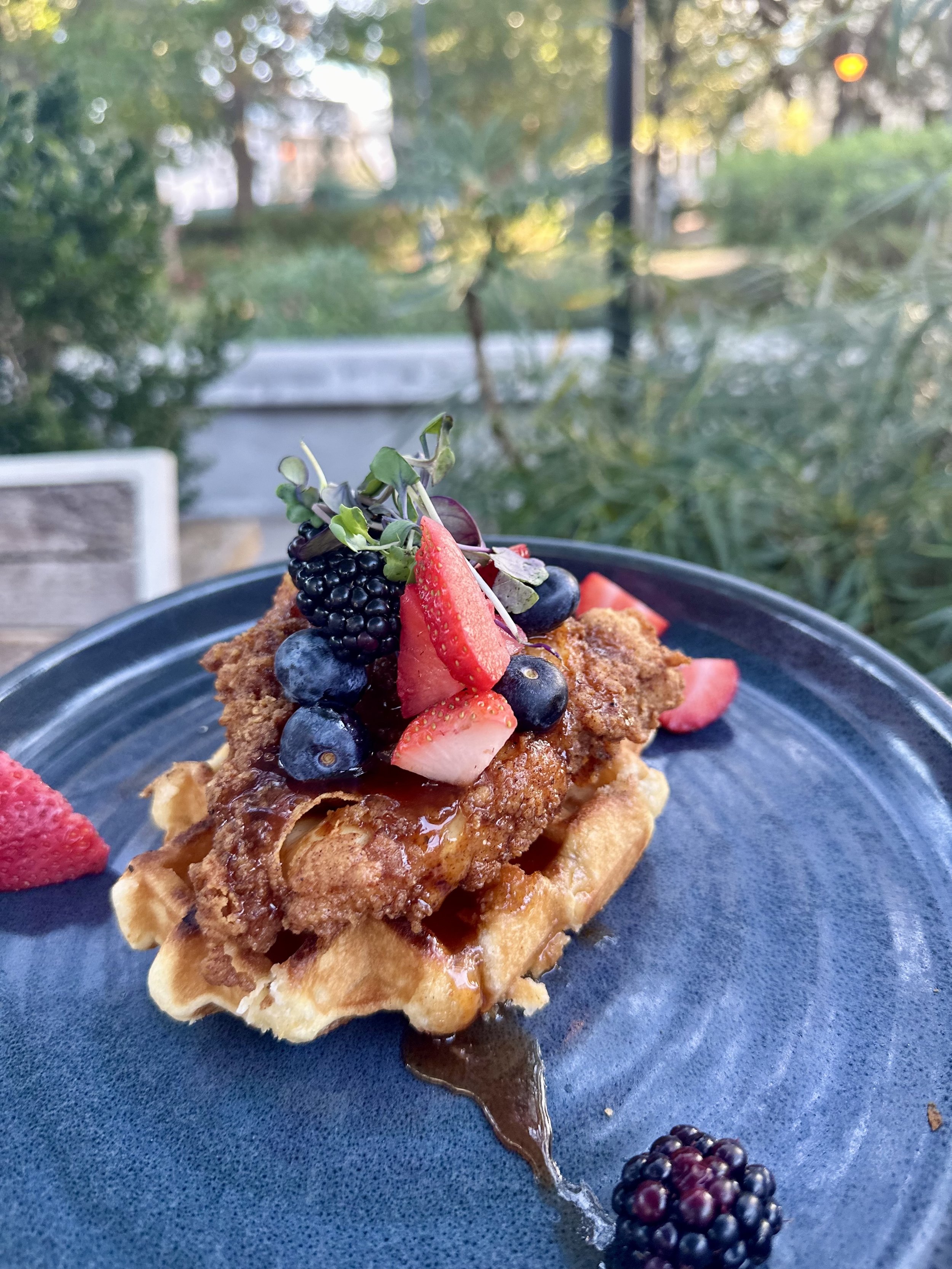 chicken and waffles at forsyth park collins quarter.jpg