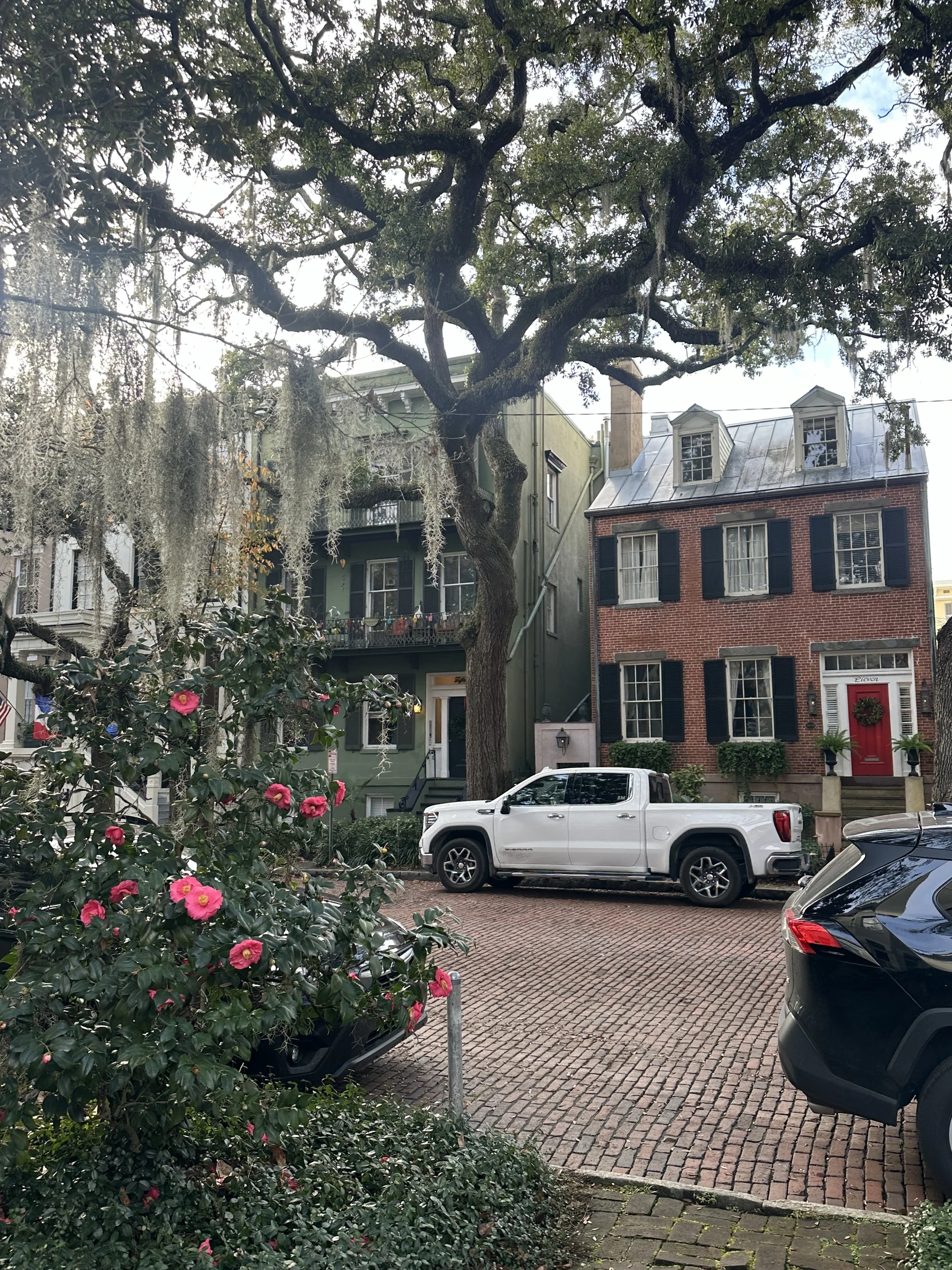 hisotirc homes on jones street with blooming camellias.jpg