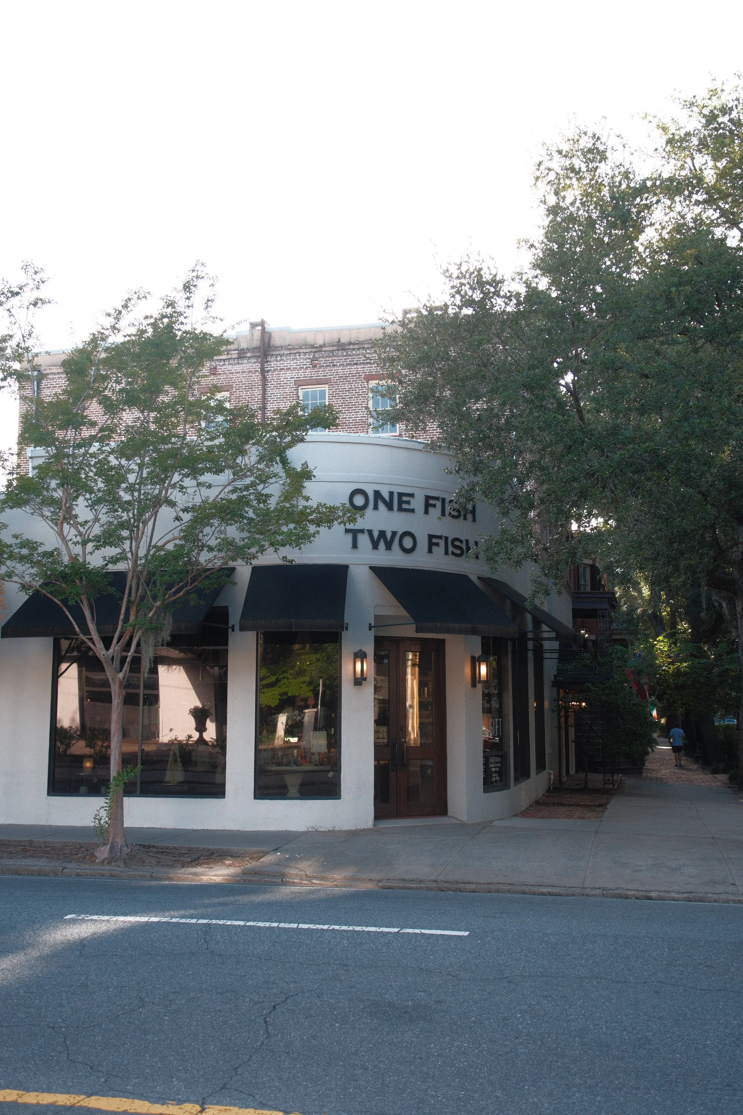 one foish two fish.JPG