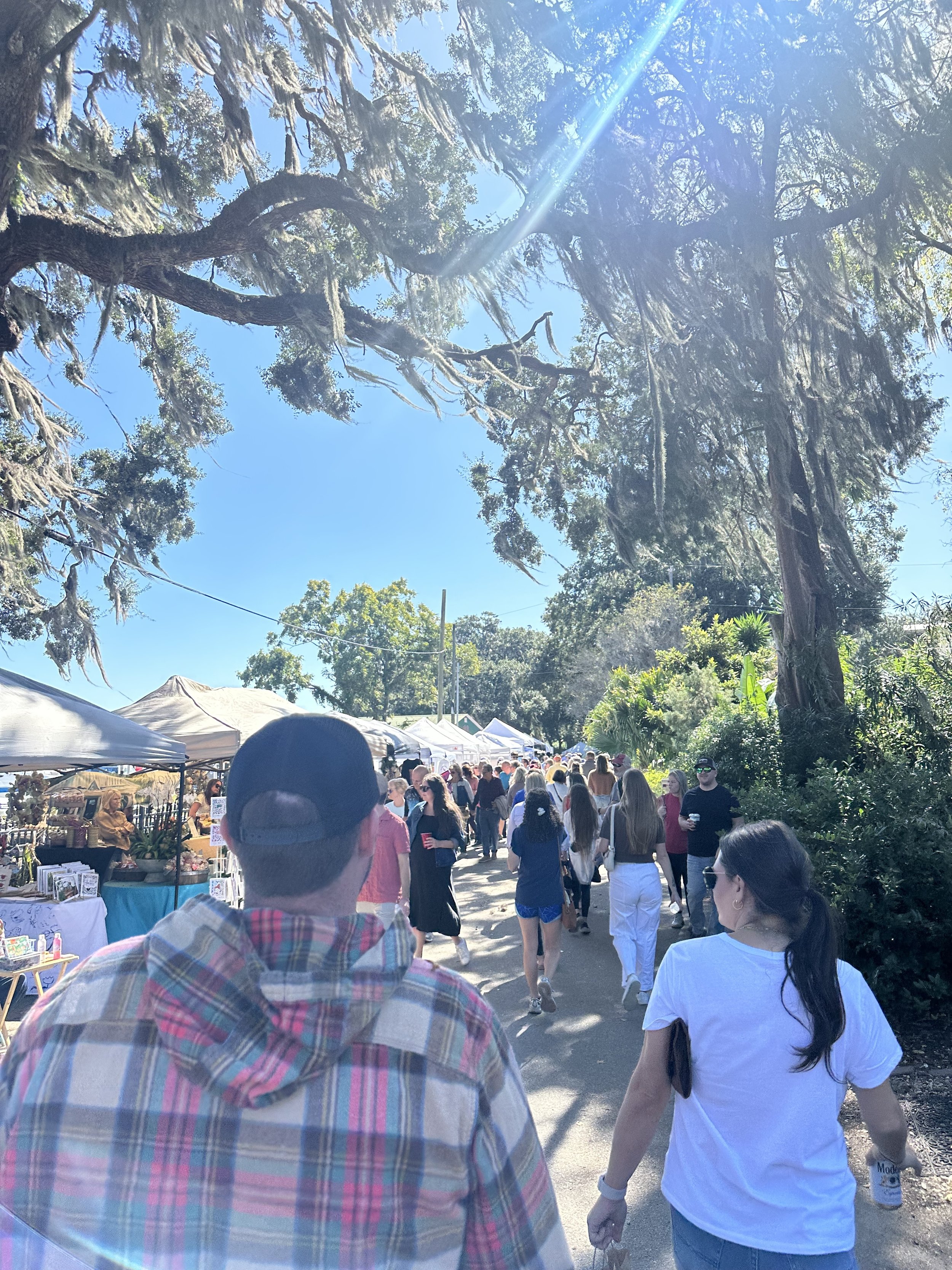 isle of hope art and music festival.jpg