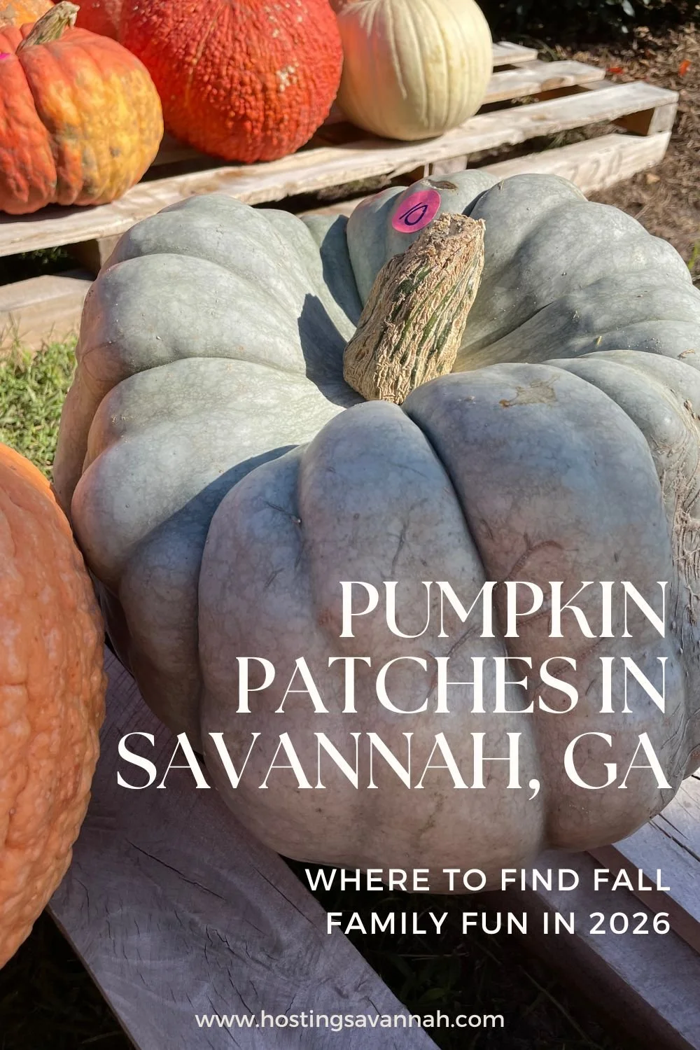 Pumpkin Patches Near Savannah: Where to Find Fall Family Fun in 2026
