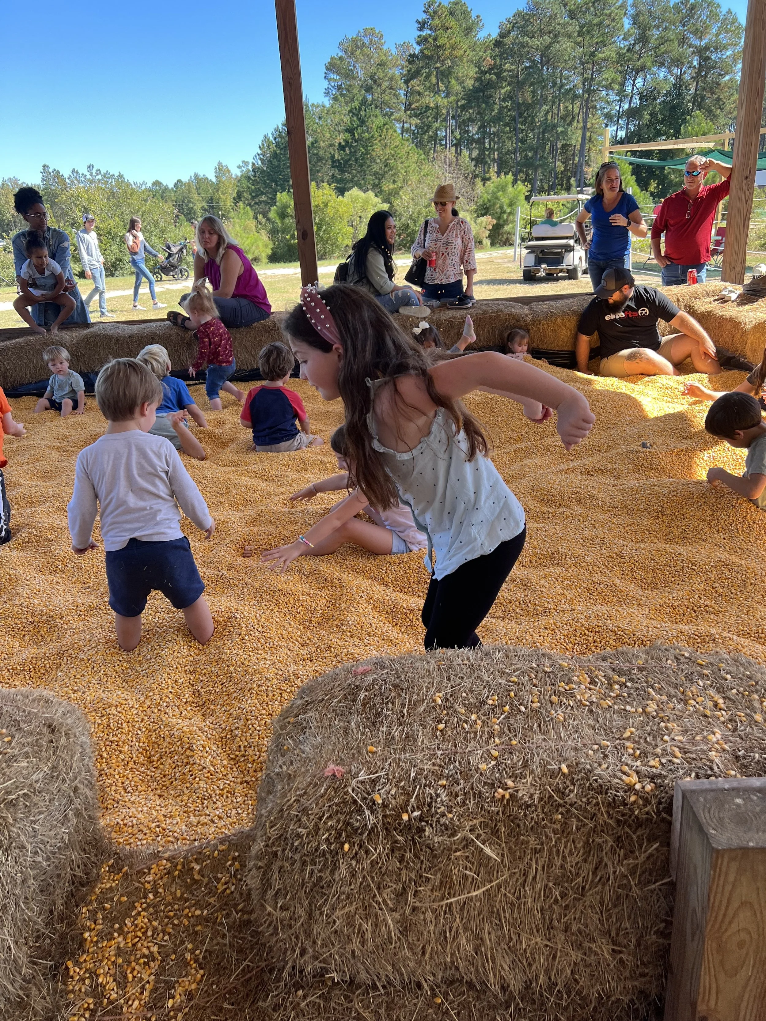 madrac farms corn pit.jpg